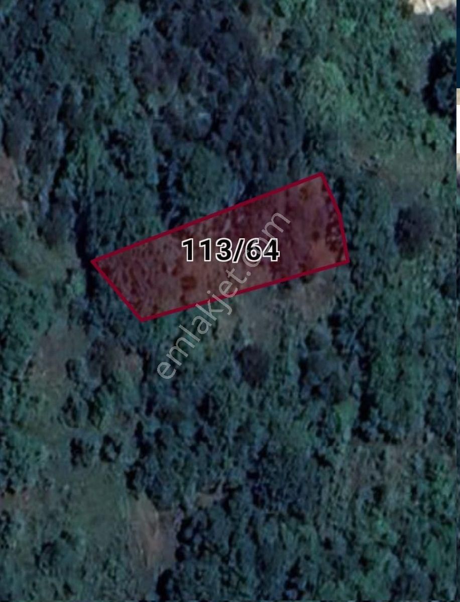 Src Emlaktan Bursa İnegöl Gündüzlü Mah. Yatırımlık Tarla - Görsel 9