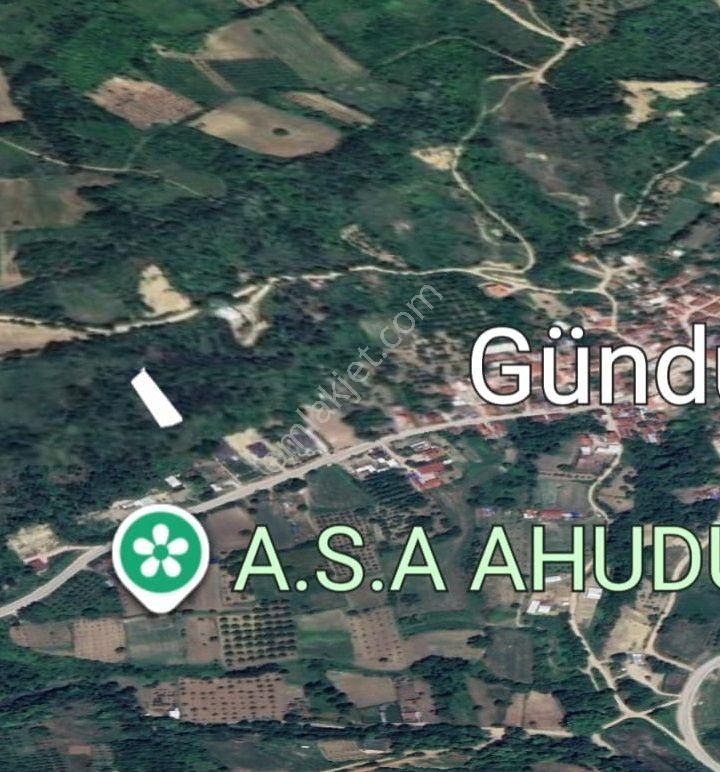 Src Emlaktan Bursa İnegöl Gündüzlü Mah. Yatırımlık Tarla - Görsel 4