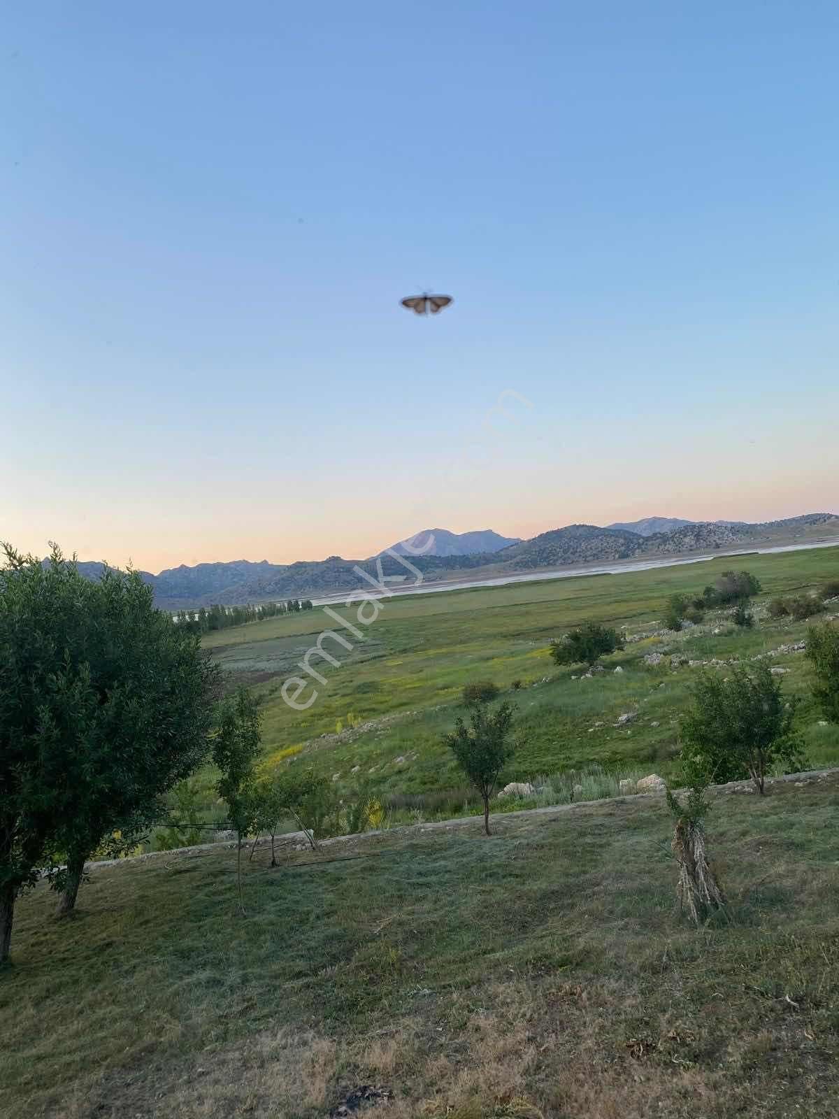 Seydikemer Yayla Alaçatta(girdev Yaylasında) Fırsat Arazi