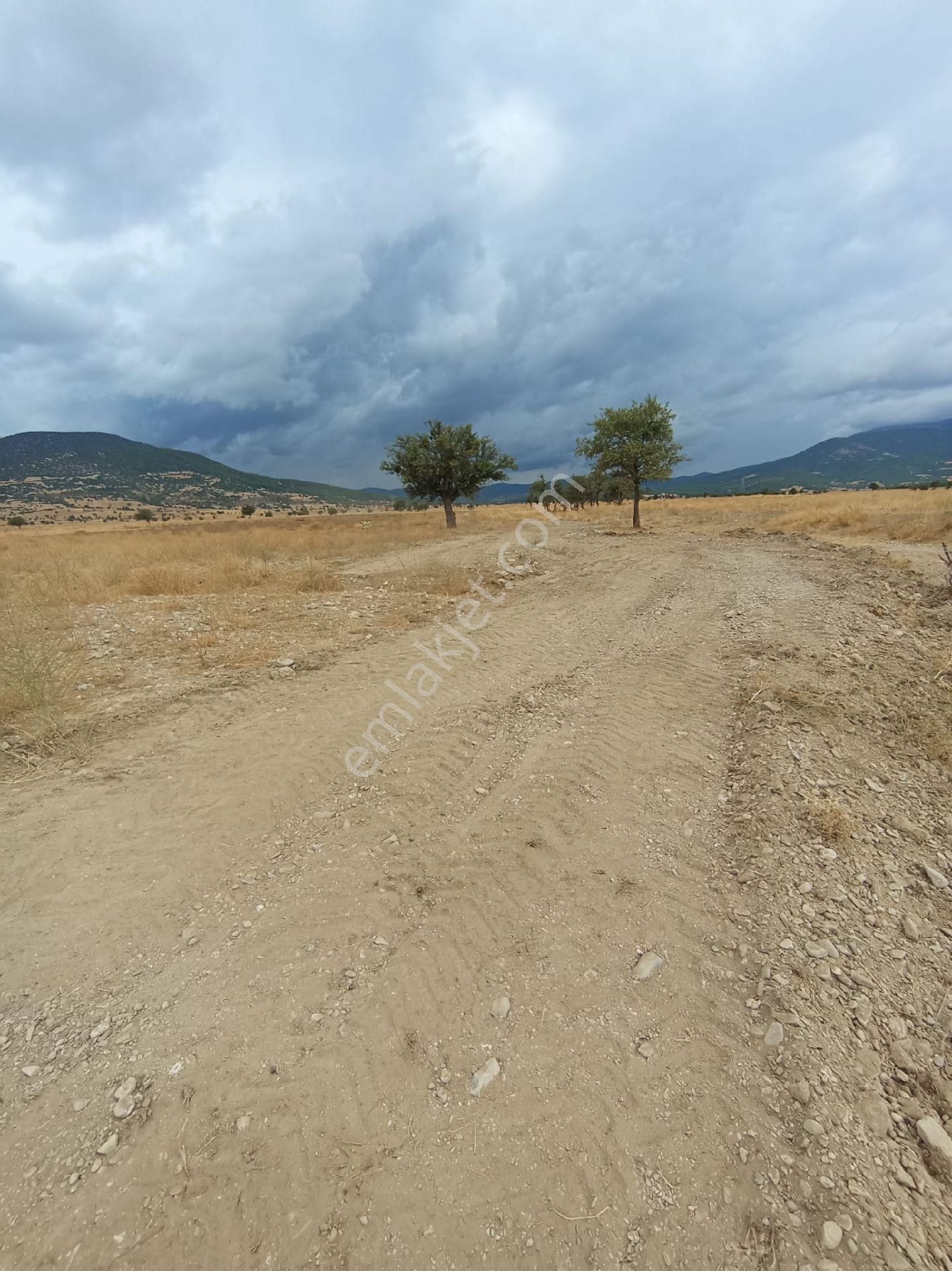 ✅korkuteli✅çomaklı Da ✅satılık 3.105m2 - Görsel 5