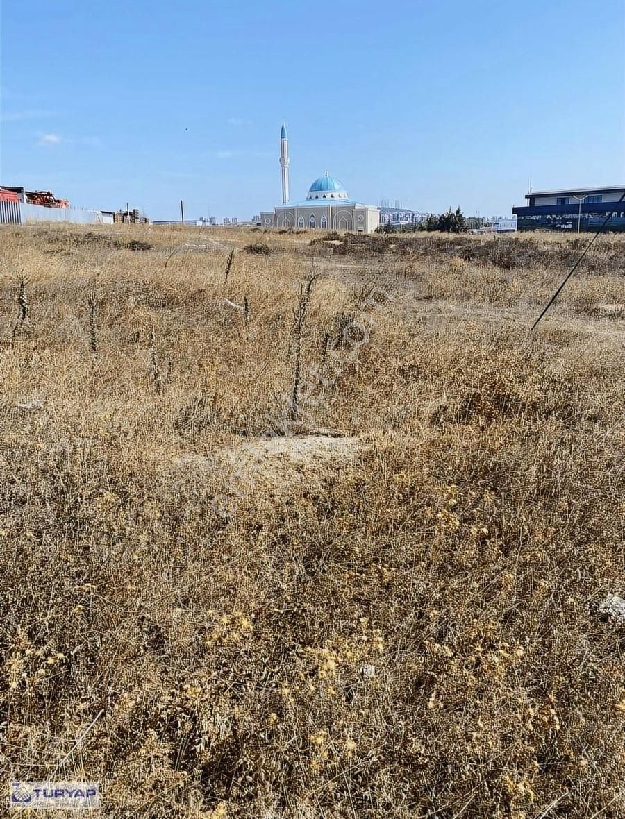 Şekerpınarda Ticari+konut İmarlı Arsa - Görsel 21
