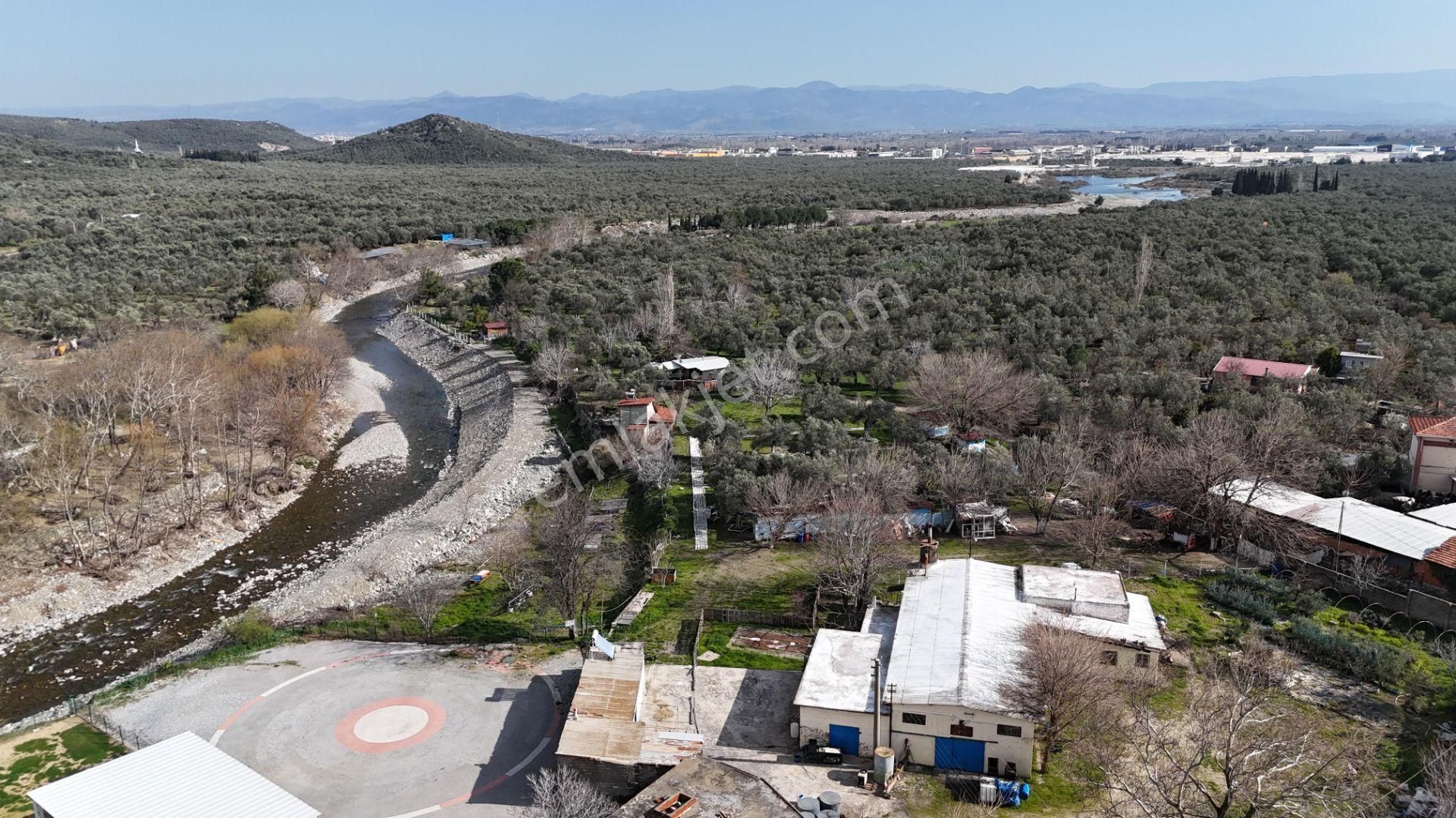 Sadece Parstan Zeytinlide Çay Manzaralı Lüks Satılık 4+1 Villa - Görsel 3