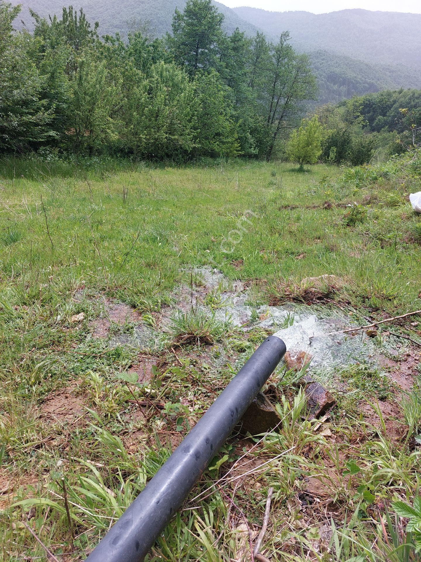 İnegöl Kıran - Görsel 3