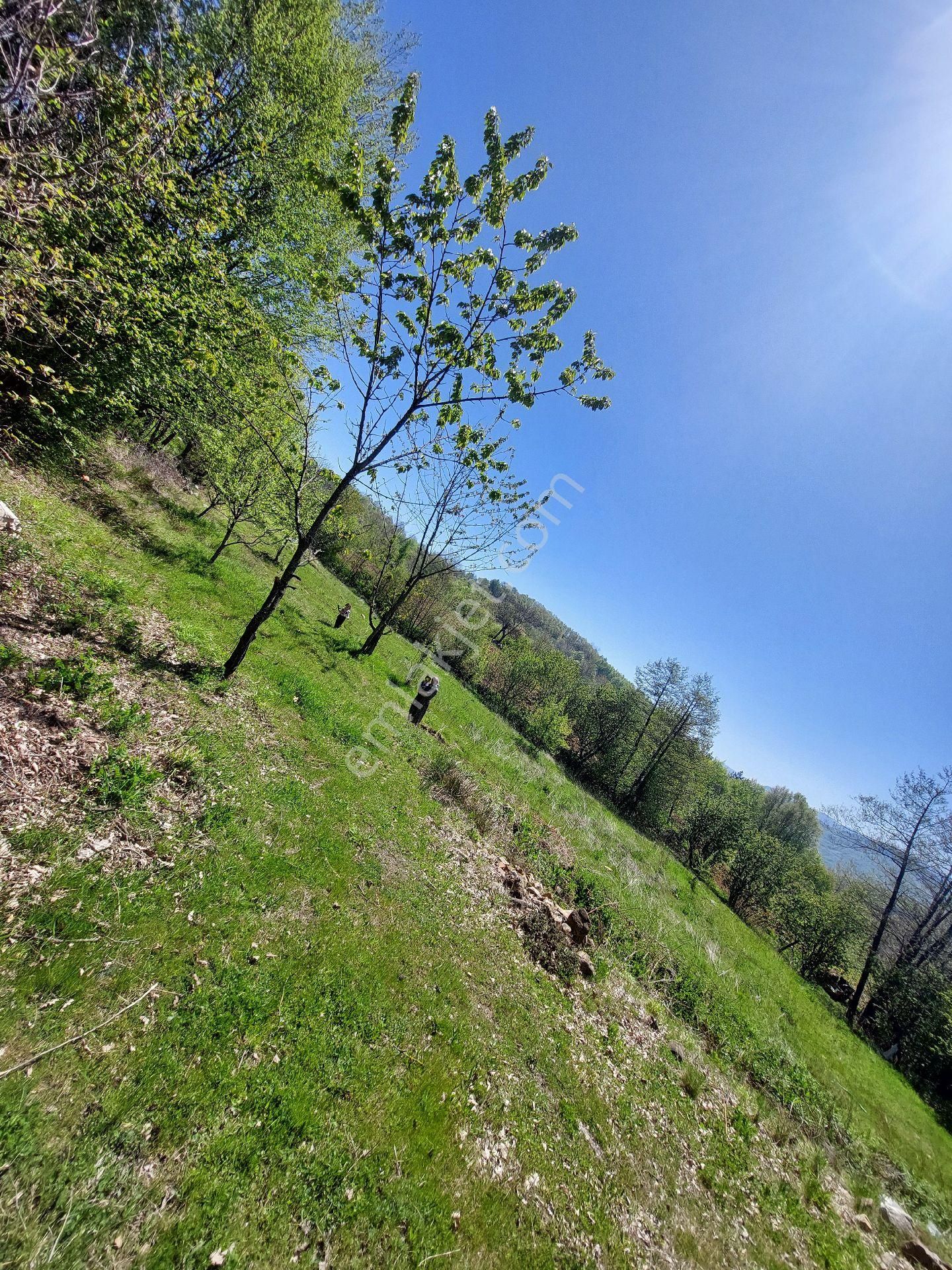 İnegöl Kıran - Görsel 4