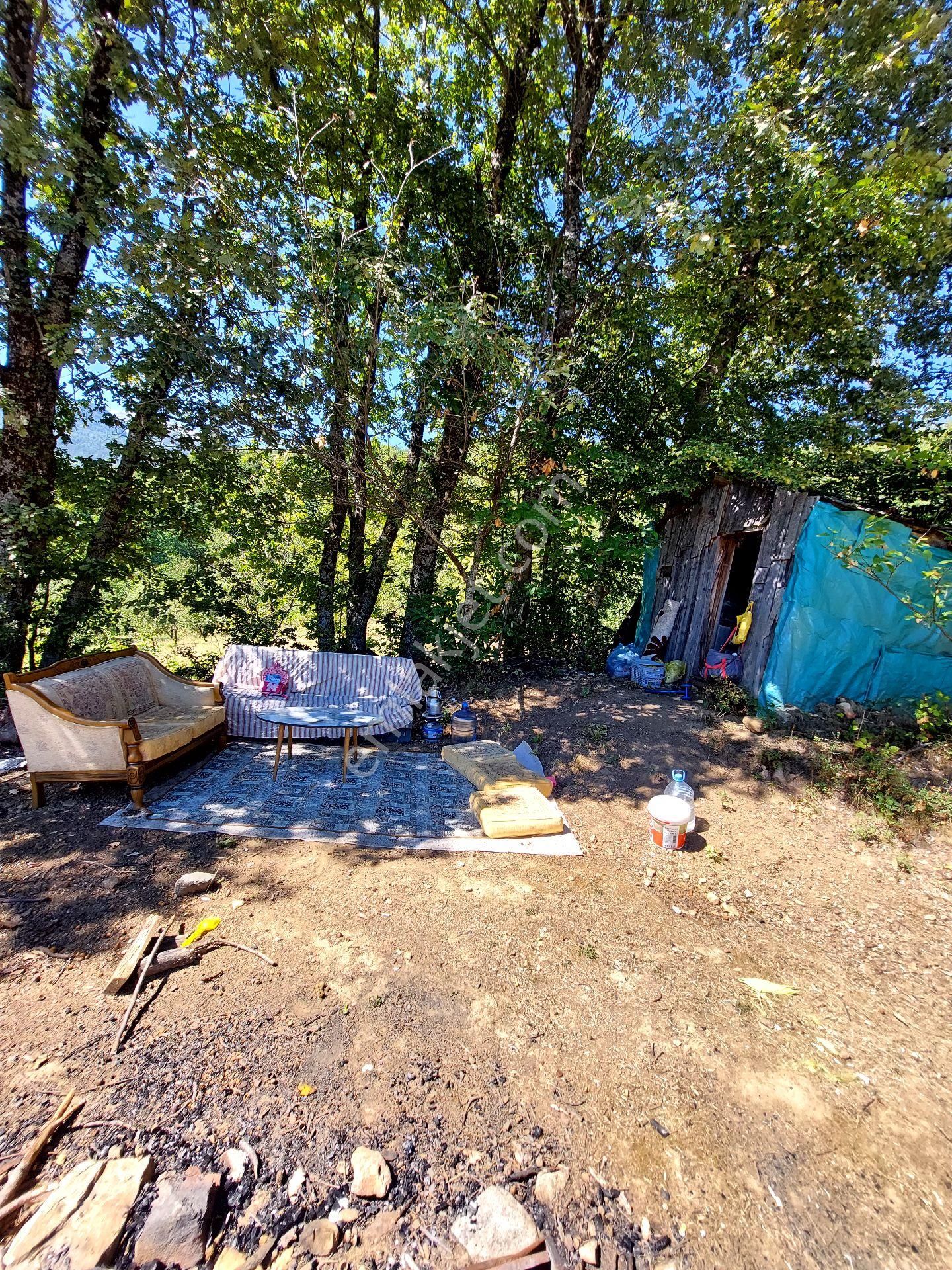 İnegöl Kıran - Görsel 14