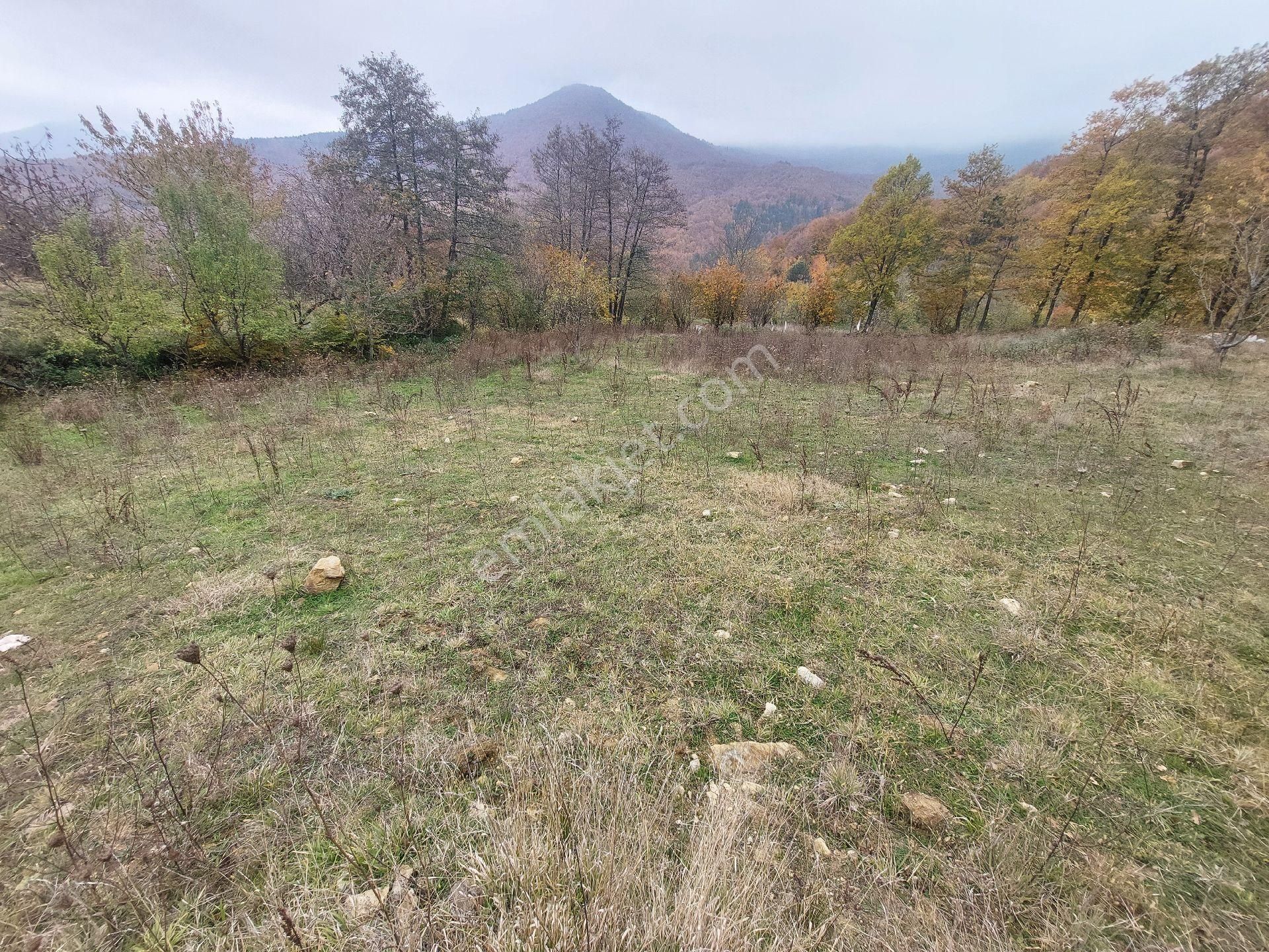 İnegöl Kıran - Görsel 5