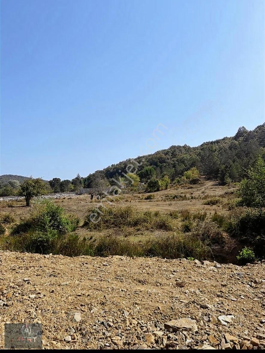 Yatırıma Uygun 4028m2 Villa İmarlı Arsa- Şile Bıçkıdere - Görsel 2