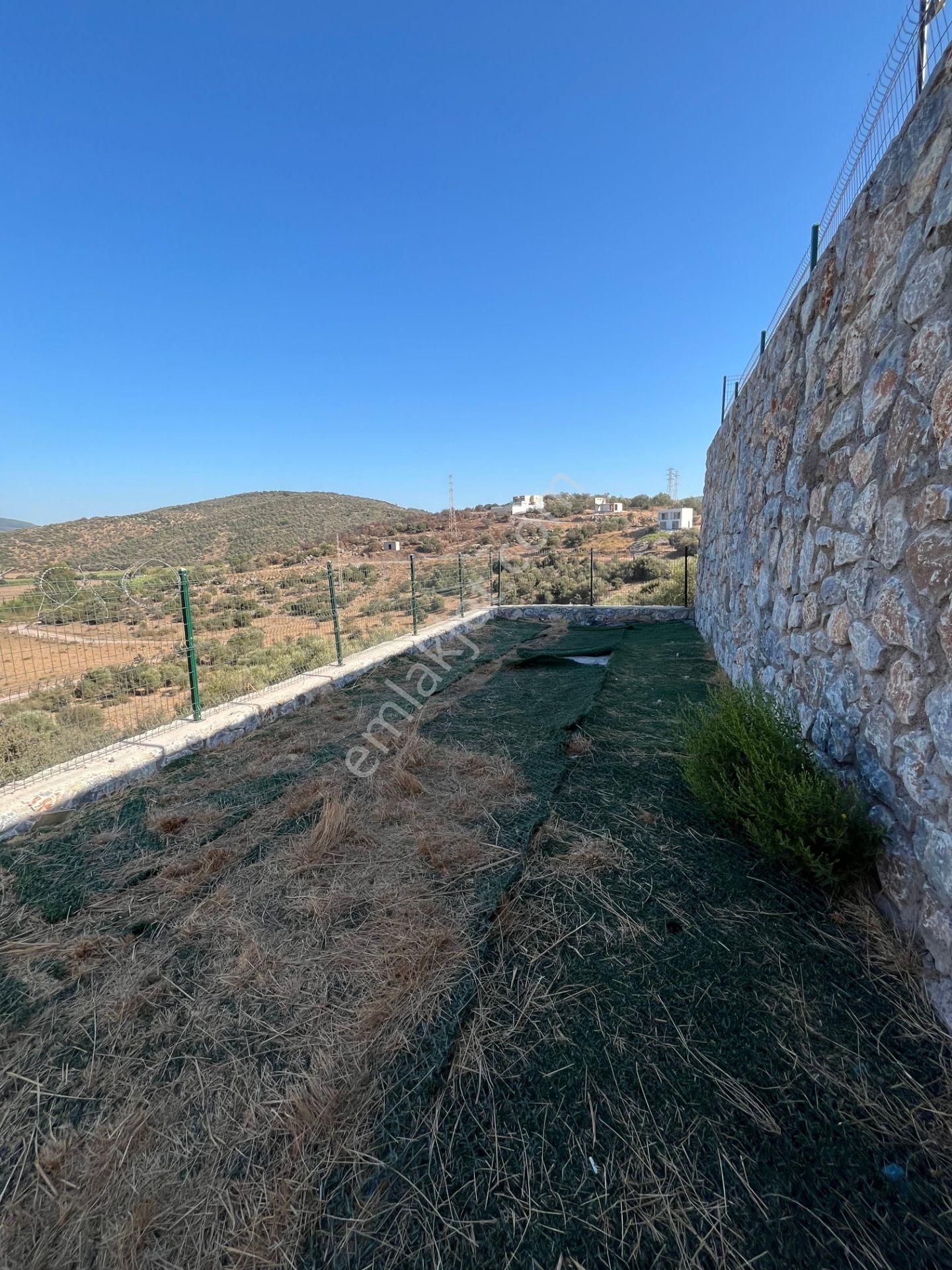 Meşelik'de Müstakil Geniş Bahçeli Ev - Görsel 24