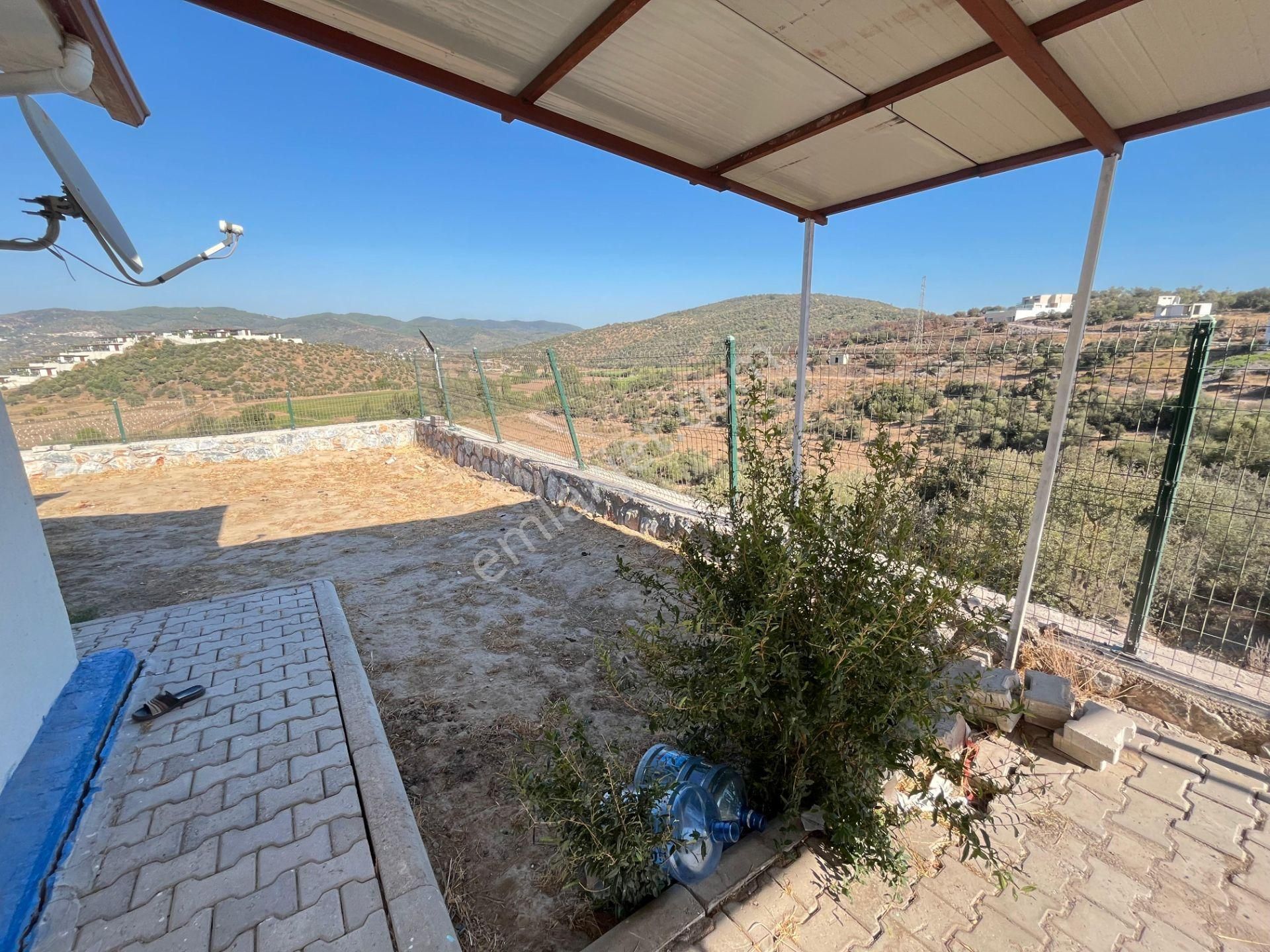 Meşelik'de Müstakil Geniş Bahçeli Ev - Görsel 17