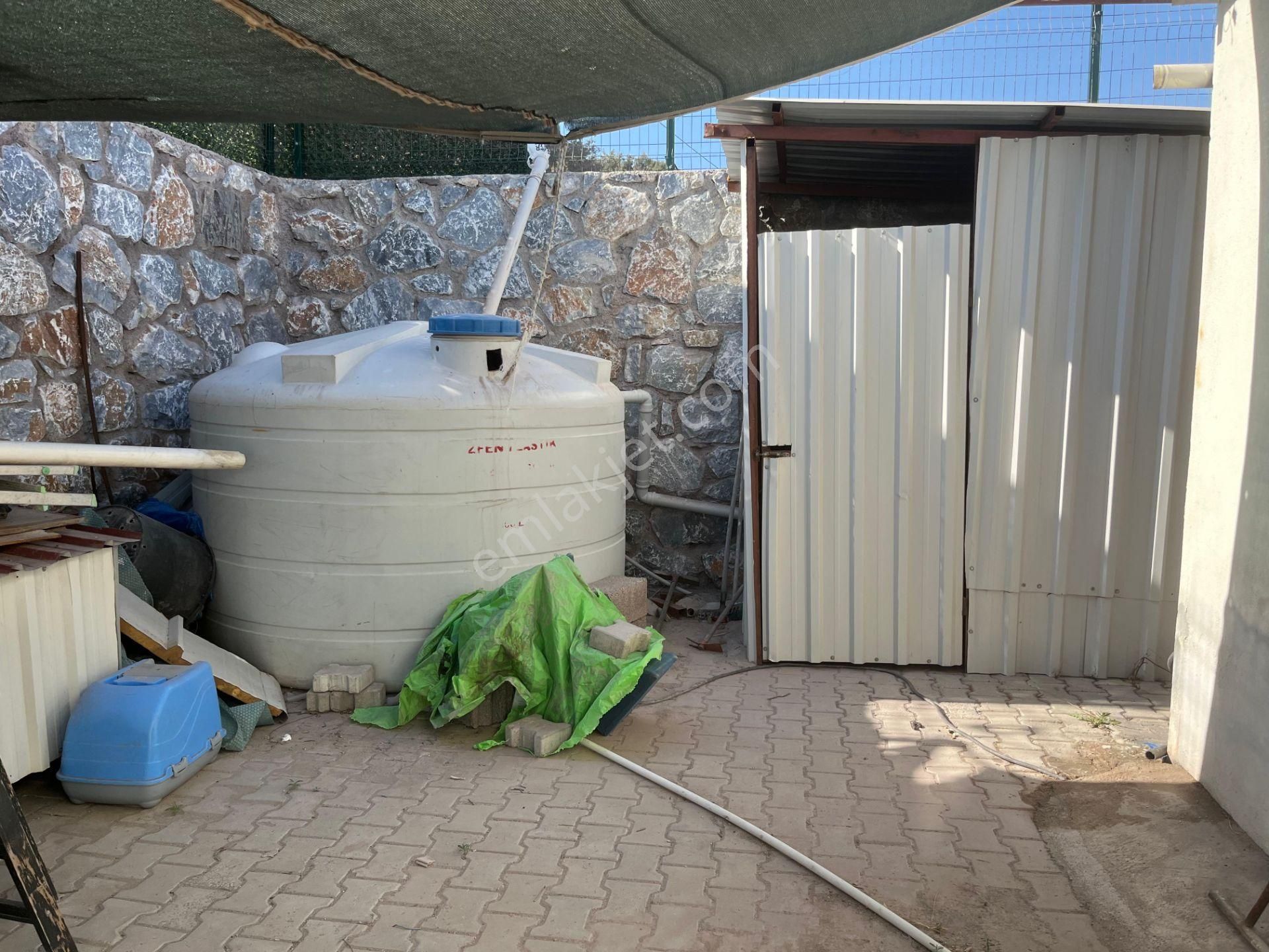 Meşelik'de Müstakil Geniş Bahçeli Ev - Görsel 27