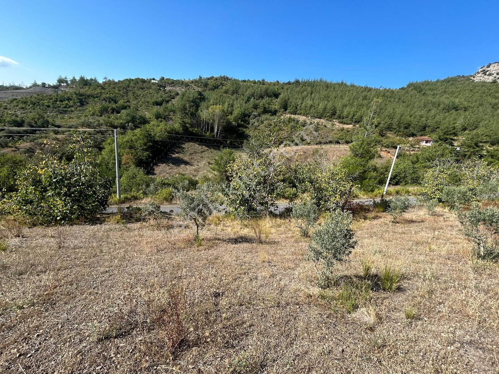 Pamukova Kazımiyede Yatırımlık Zeytin Bahçesi - Görsel 30