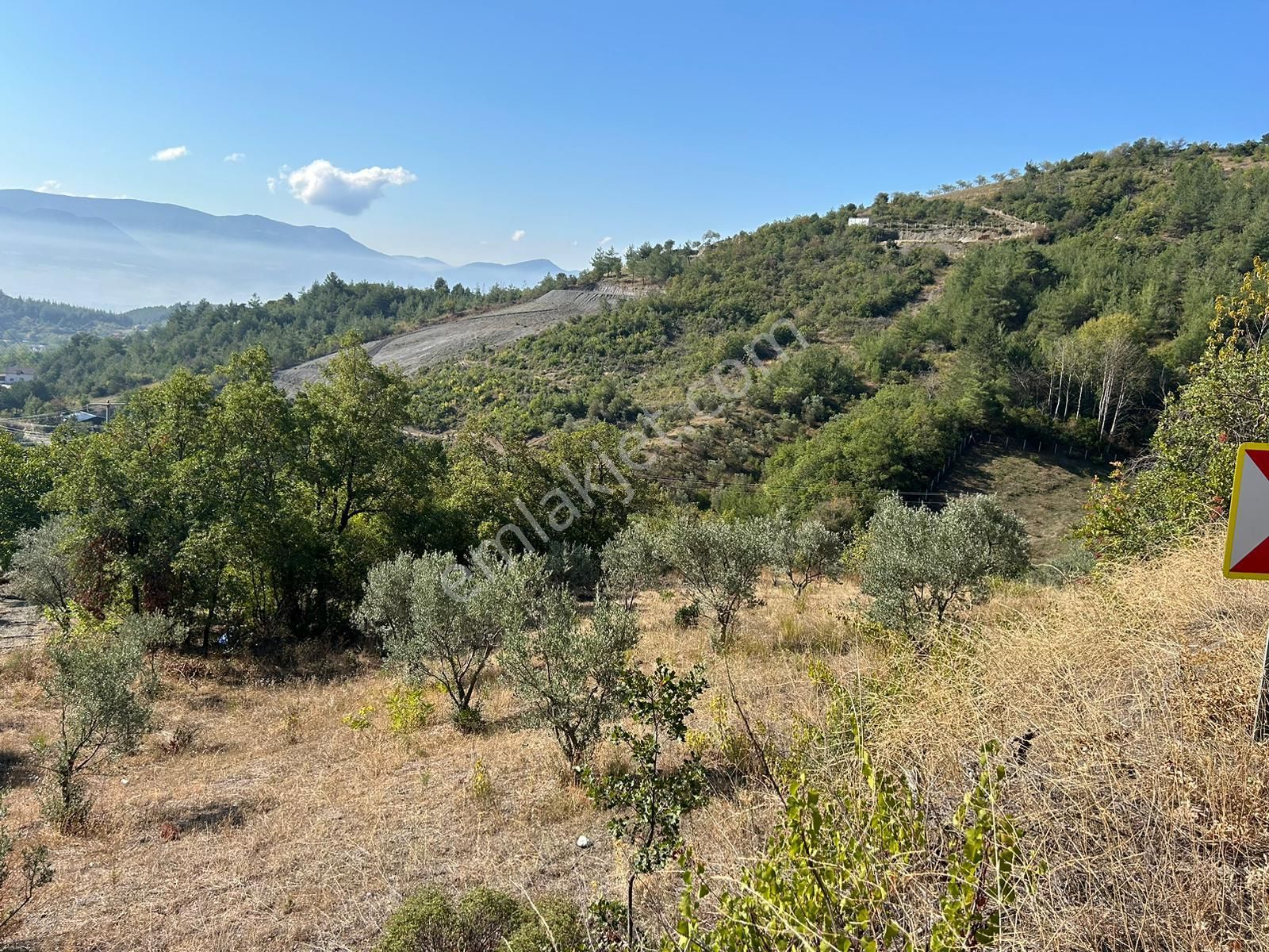 Pamukova Kazımiyede Yatırımlık Zeytin Bahçesi - Görsel 27