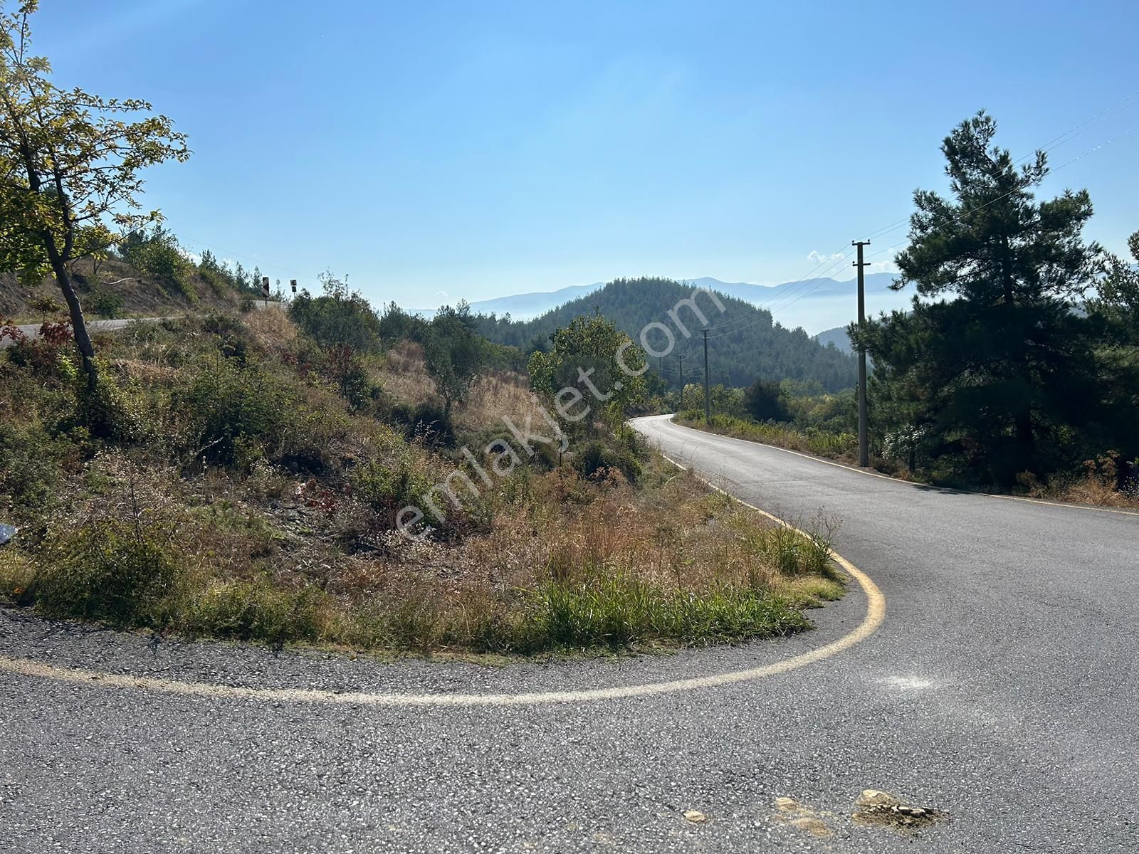 Pamukova Kazımiyede Yatırımlık Zeytin Bahçesi - Görsel 25