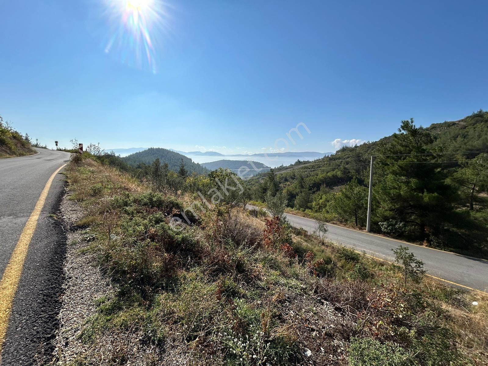 Pamukova Kazımiyede Yatırımlık Zeytin Bahçesi - Görsel 13
