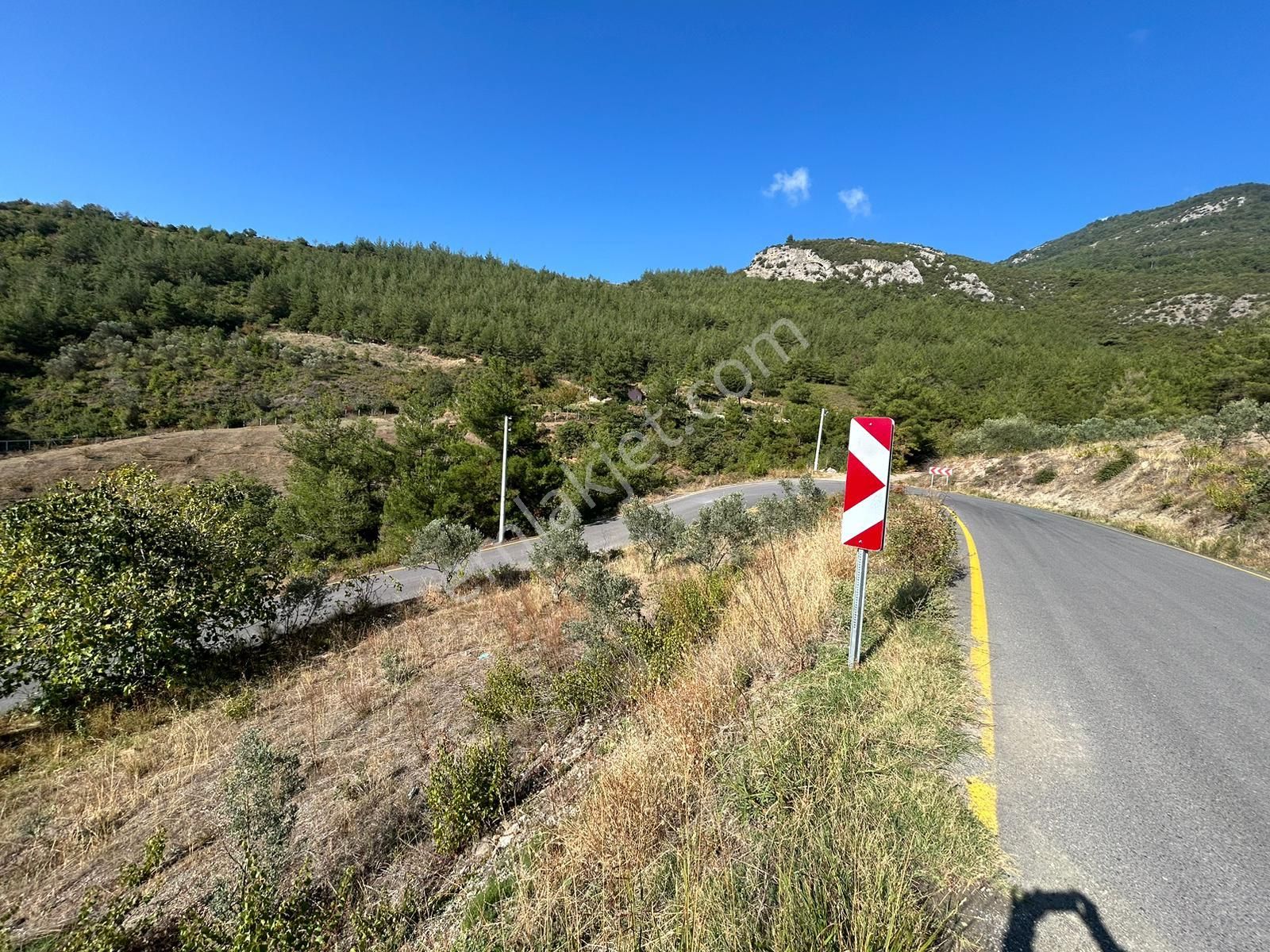 Pamukova Kazımiyede Yatırımlık Zeytin Bahçesi - Görsel 6