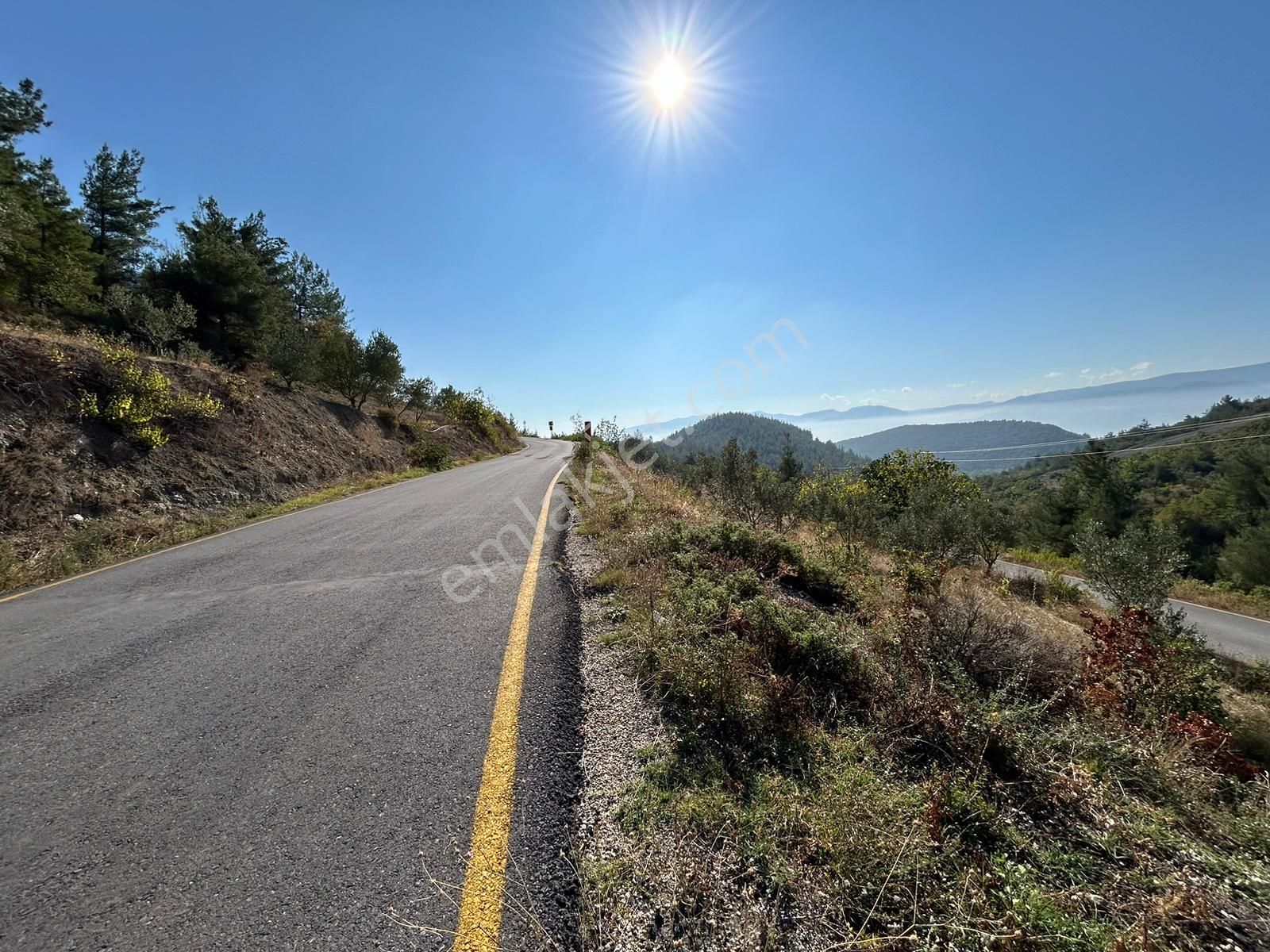 Pamukova Kazımiyede Yatırımlık Zeytin Bahçesi - Görsel 32