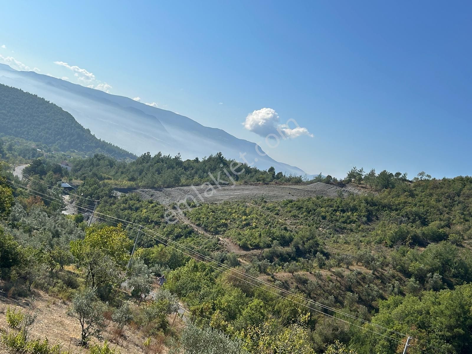 Pamukova Kazımiyede Yatırımlık Zeytin Bahçesi - Görsel 22