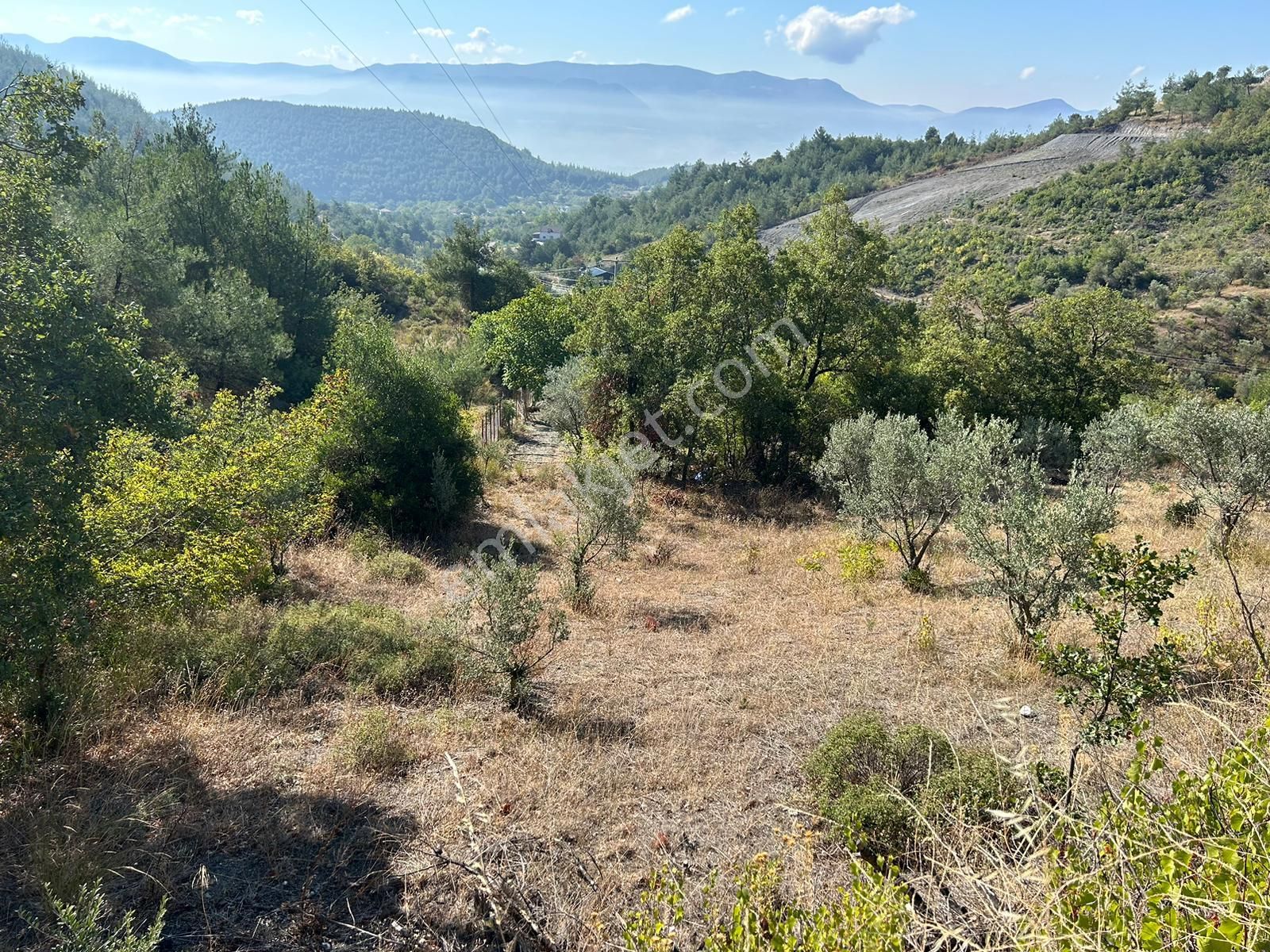 Pamukova Kazımiyede Yatırımlık Zeytin Bahçesi - Görsel 18