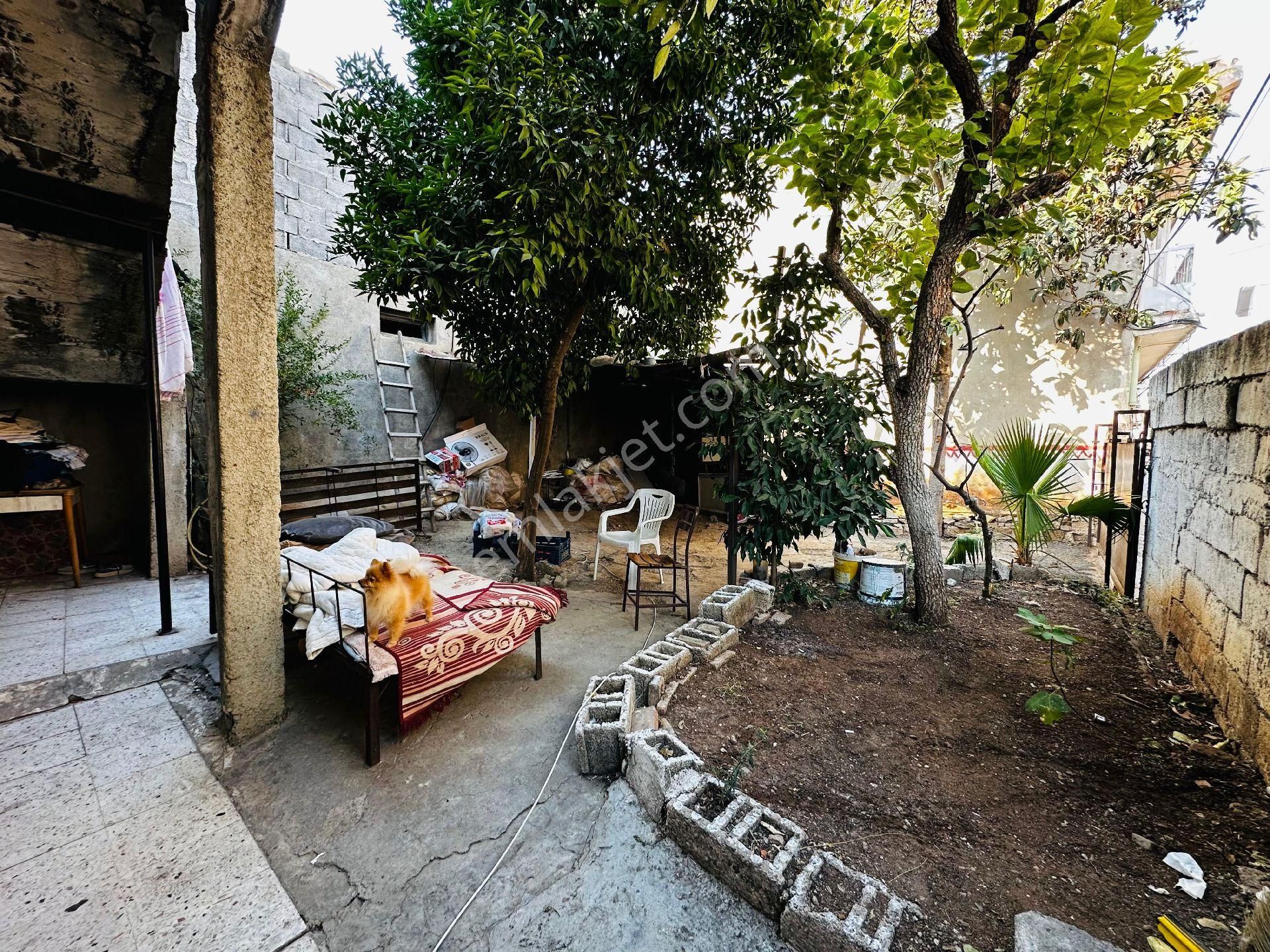 Tek Katlı Bahcelı Mustakıl - Görsel 2