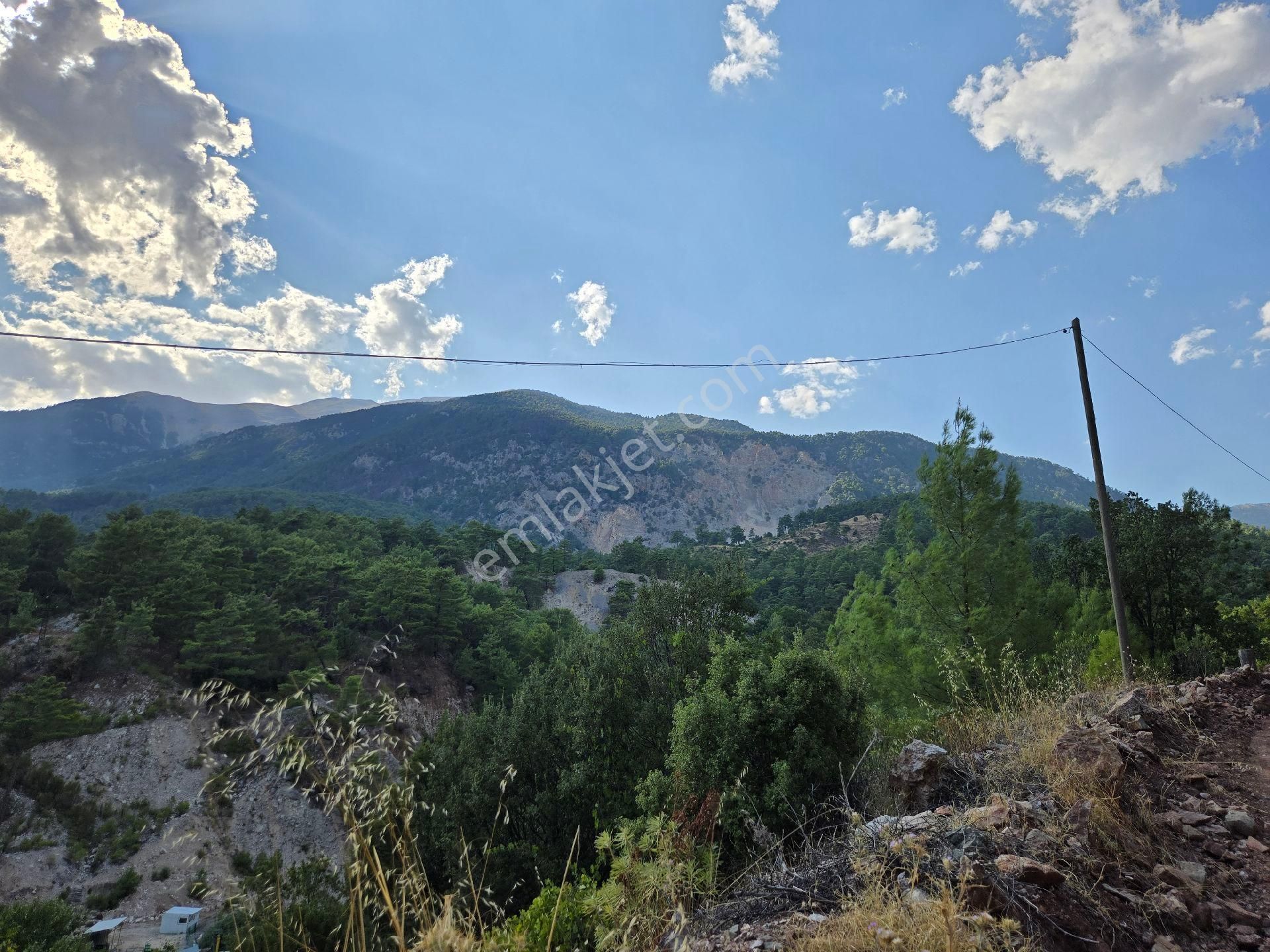 Yol,su,elektriğiolanarsa