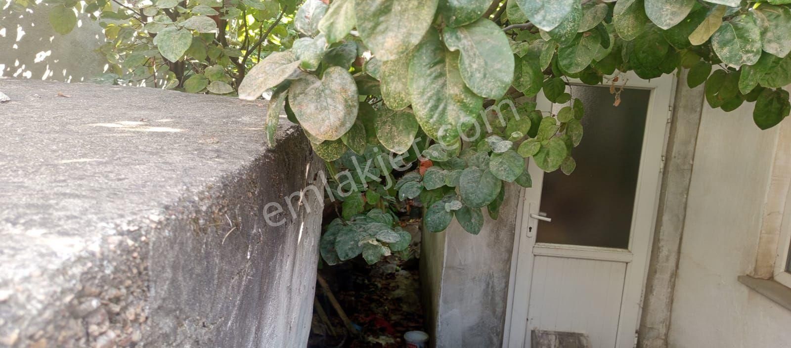 Bilge Emlak'tan - Görsel 5