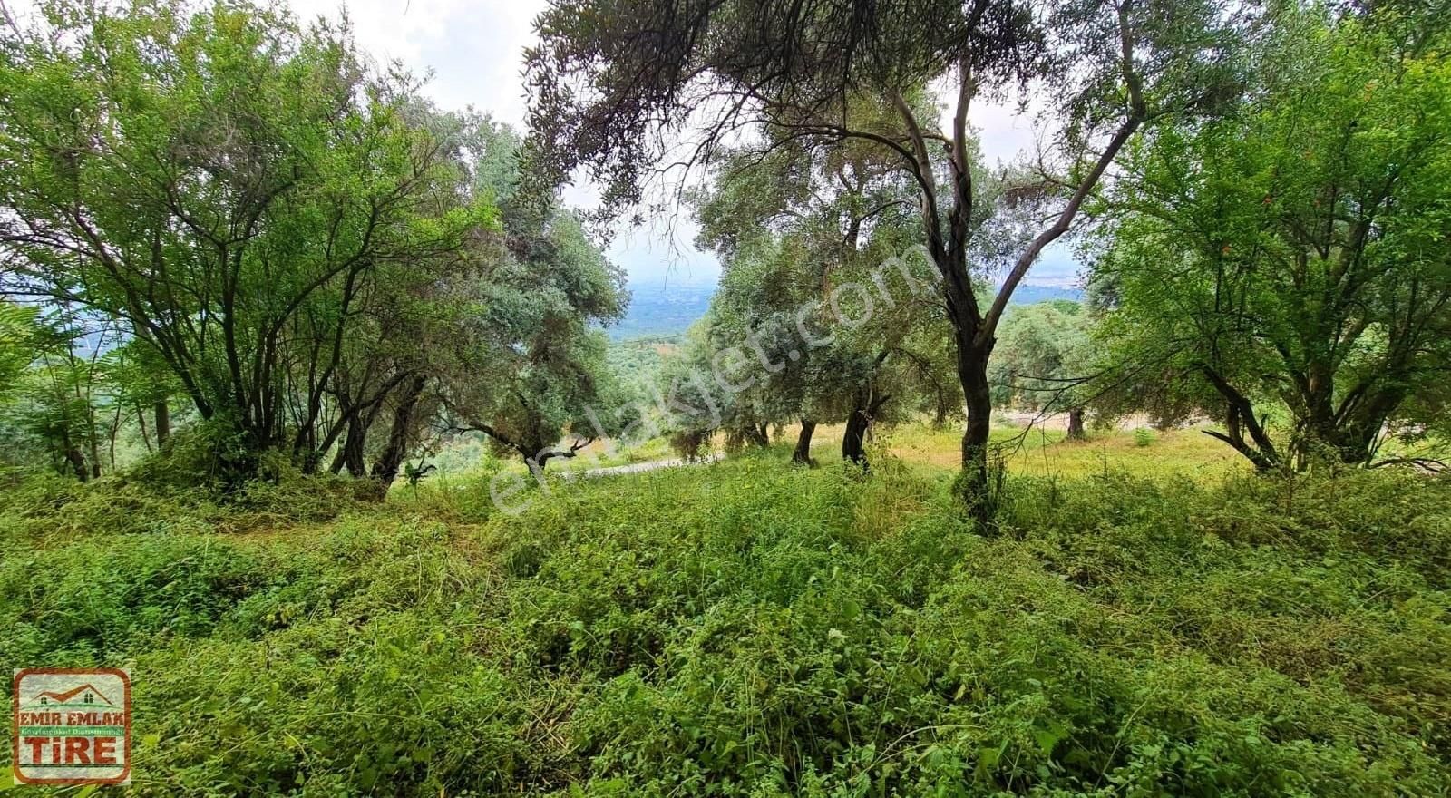 Muhteşem Manzaralı Satılık Müstakil Evli Arsa - Görsel 14