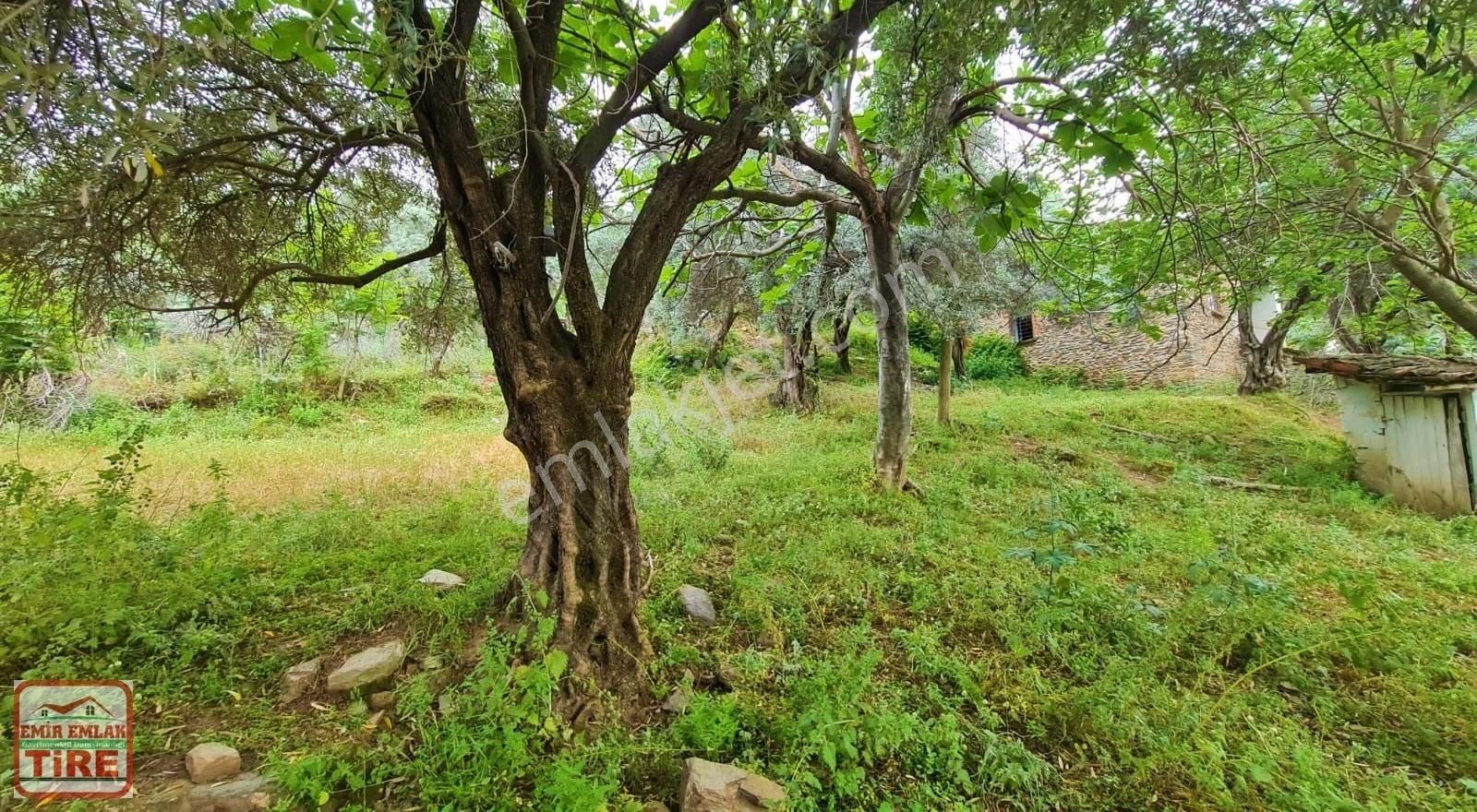 Muhteşem Manzaralı Satılık Müstakil Evli Arsa - Görsel 8