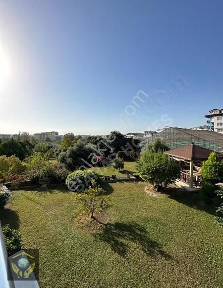 İkamete Uygun 5 Sene Dolmuş Tapusu 24 Dönüm En Geniş Bahçesı Ola - Görsel 17