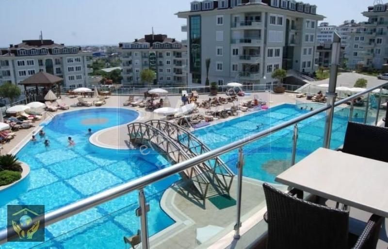 İkamete Uygun 5 Sene Dolmuş Tapusu 24 Dönüm En Geniş Bahçesı Ola - Görsel 29