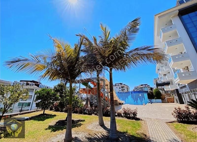 İkamete Uygun 5 Sene Dolmuş Tapusu 24 Dönüm En Geniş Bahçesı Ola - Görsel 23