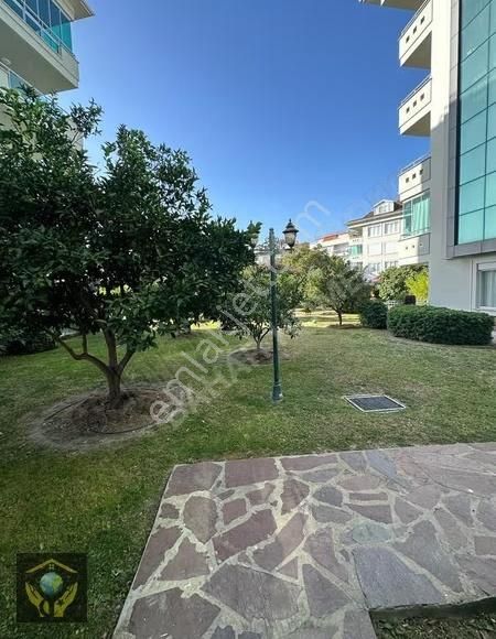 İkamete Uygun 5 Sene Dolmuş Tapusu 24 Dönüm En Geniş Bahçesı Ola - Görsel 6