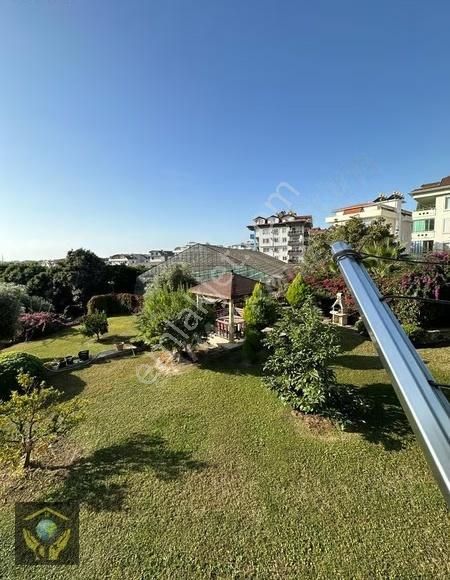 İkamete Uygun 5 Sene Dolmuş Tapusu 24 Dönüm En Geniş Bahçesı Ola - Görsel 21