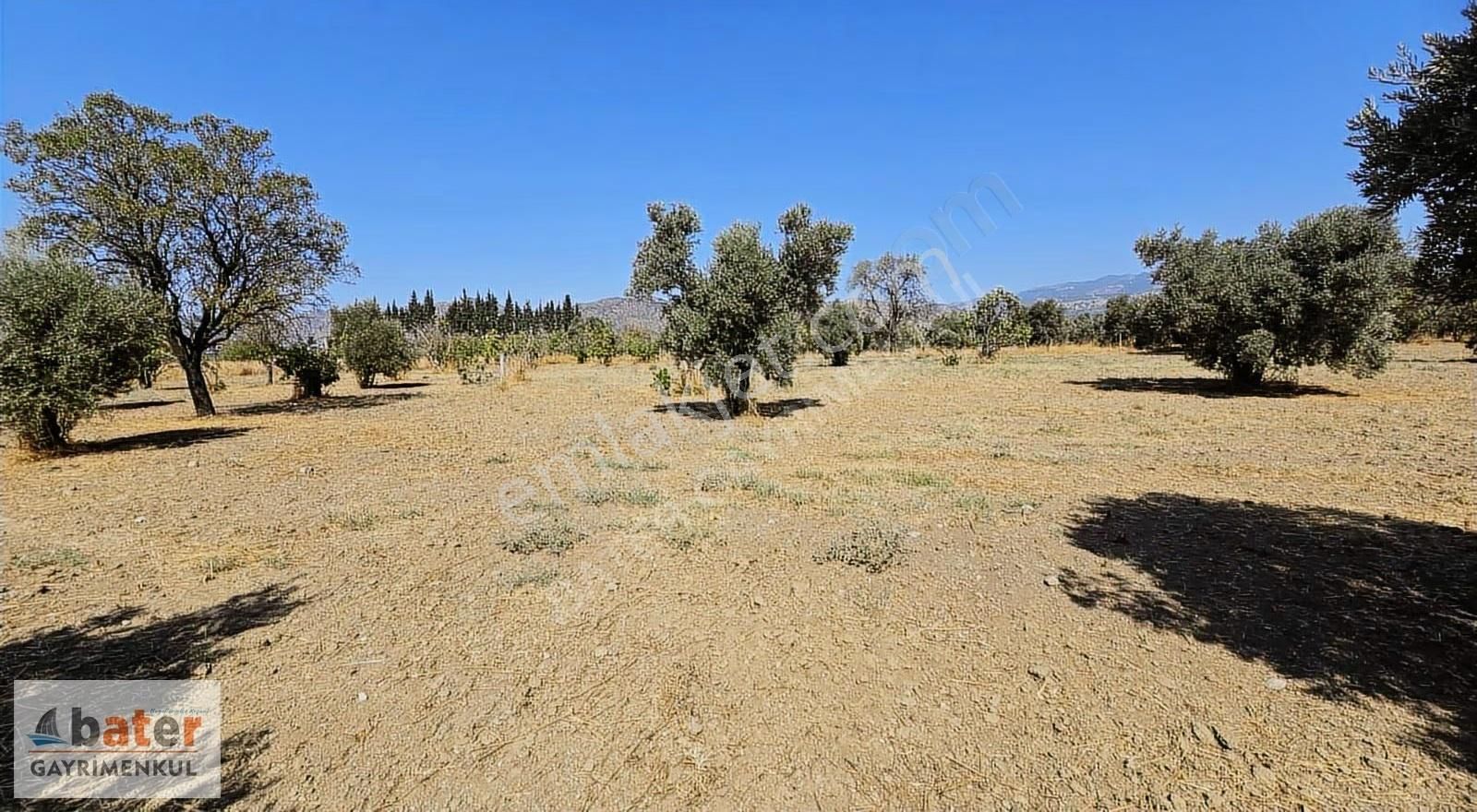 Bater'den Kardeşköy'de Yatırımlık 7.290 M² Tarla - Görsel 3