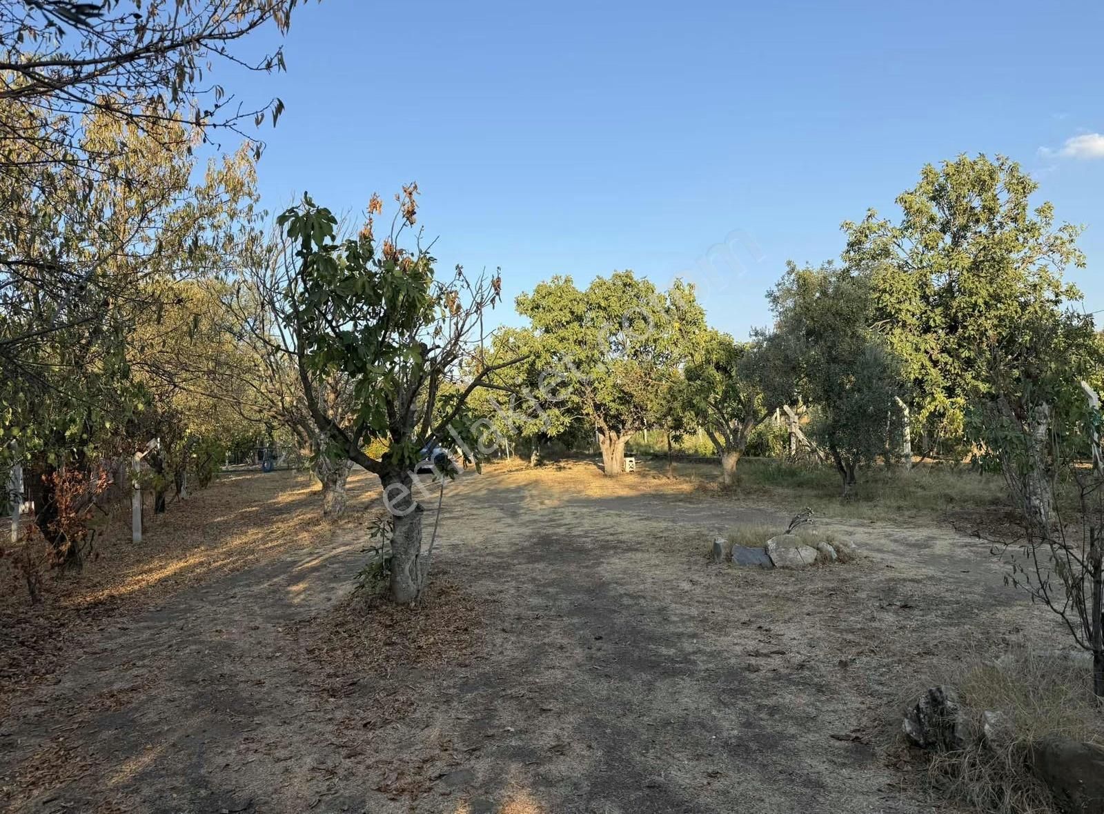 Pek Emlaktan 2112m2 Yuvalı Da İki Katlı Satılık Bahçe Ve Ev - Görsel 2