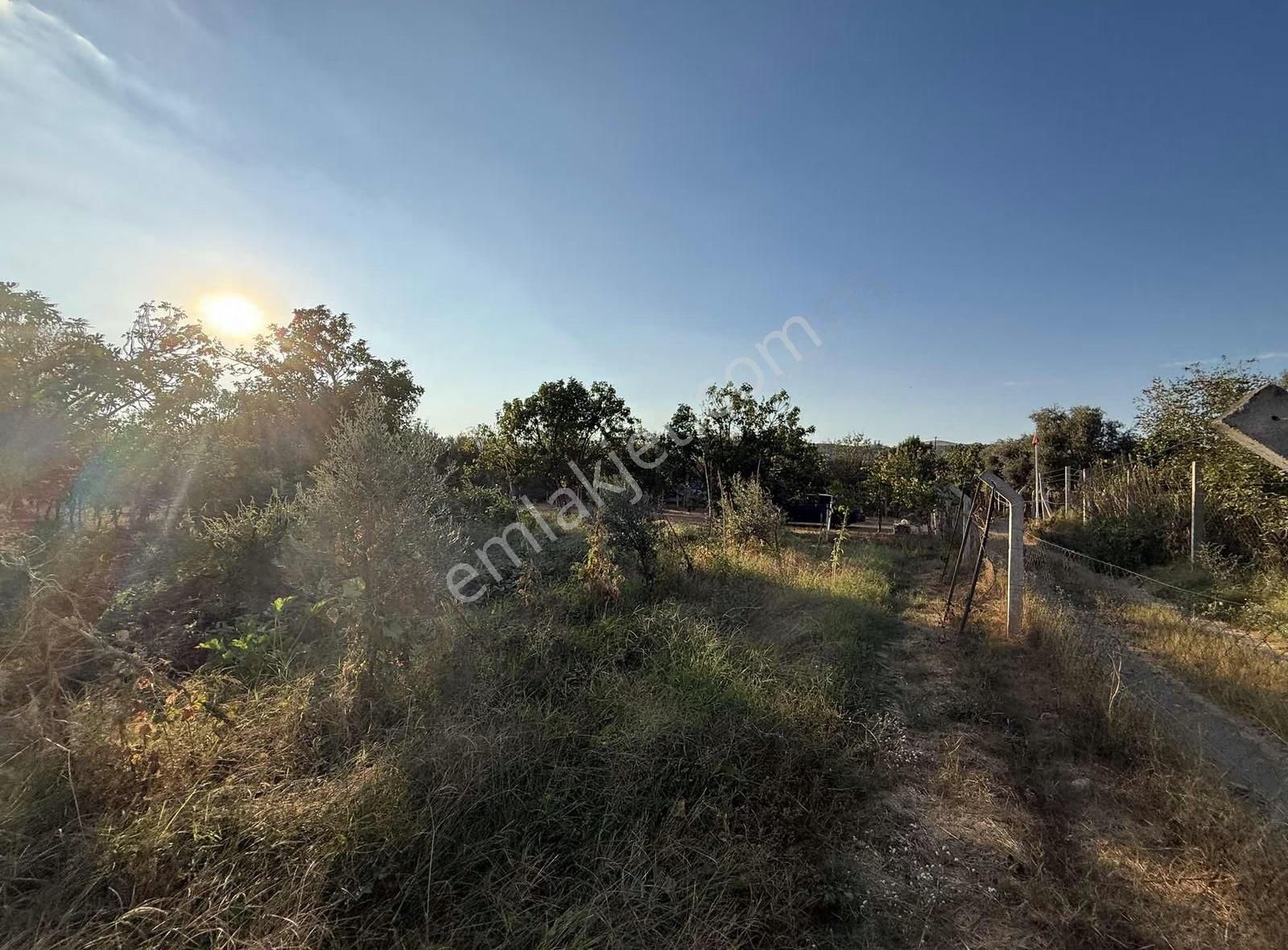 Pek Emlaktan 2112m2 Yuvalı Da İki Katlı Satılık Bahçe Ve Ev - Görsel 14