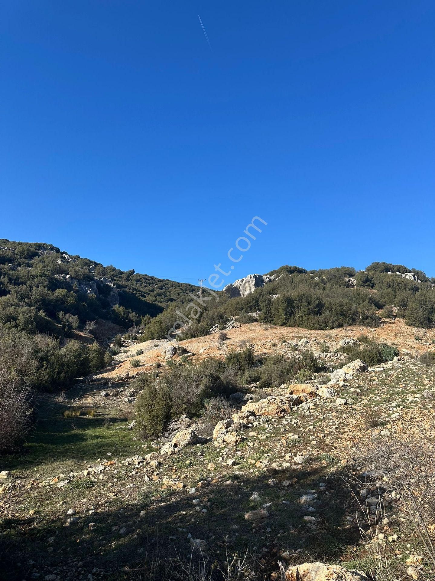 🌿 Kuşbaba’da Yerleşim Alanında Kaçırılmayacak Fırsat Arazi! 🌿 - Görsel 3
