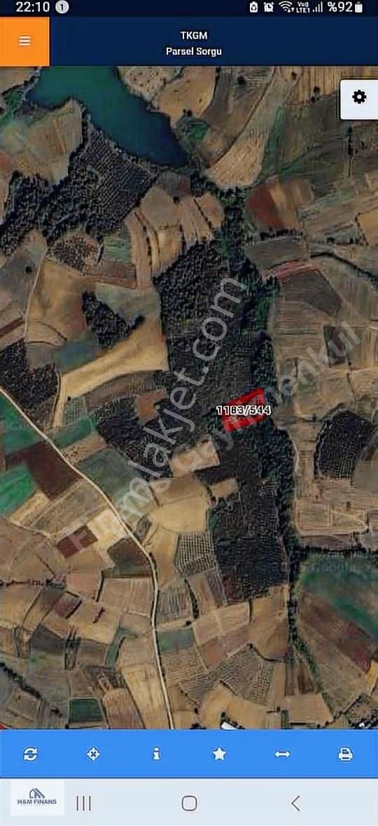 Sakarya Kaynarca Okçularda Satılık Fındık Bahçesi - Görsel 3