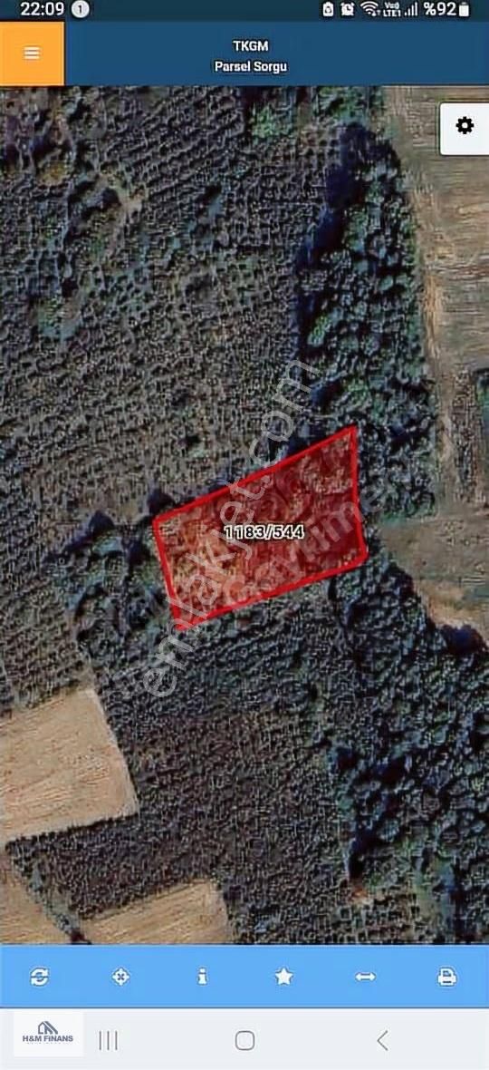 Sakarya Kaynarca Okçularda Satılık Fındık Bahçesi - Görsel 11
