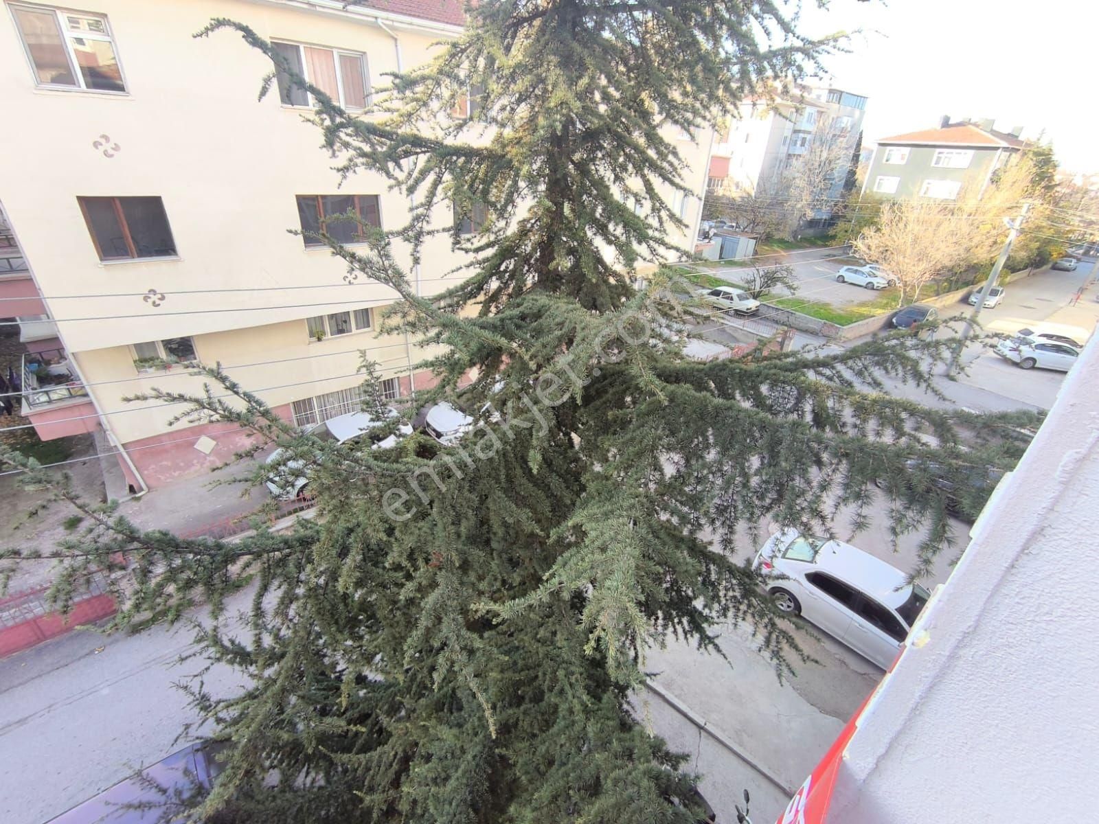 3+1 Sahibinden Satılık Daire İskanı Vardır Bağımsızdır - Görsel 15