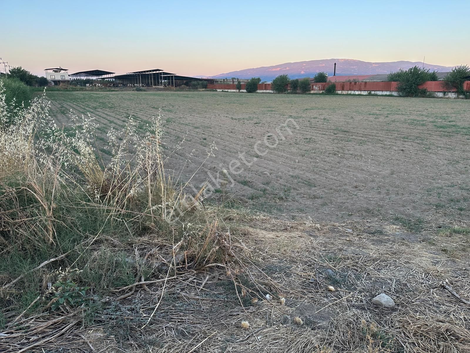 Nazilli Dallica’da Yatırımlık Arsa – Bambu Avm Yakını, İmar Sınırında - Görsel 14