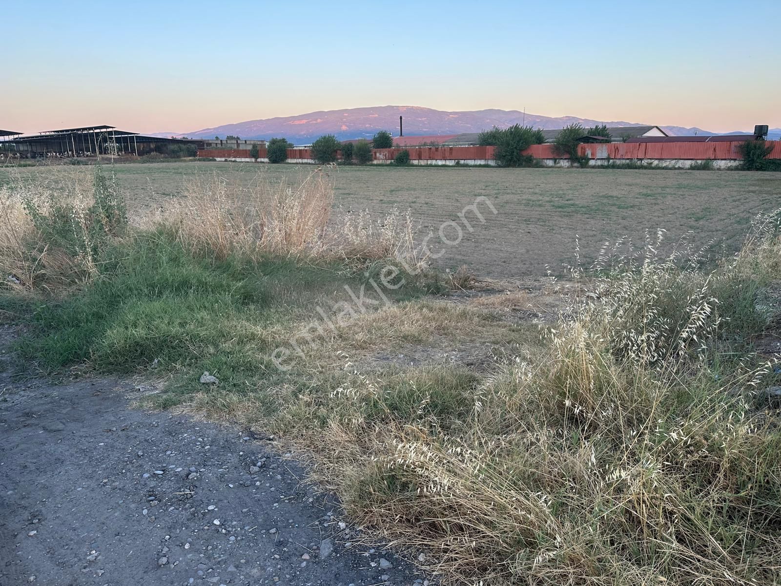 Nazilli Dallica’da Yatırımlık Arsa – Bambu Avm Yakını, İmar Sınırında - Görsel 3
