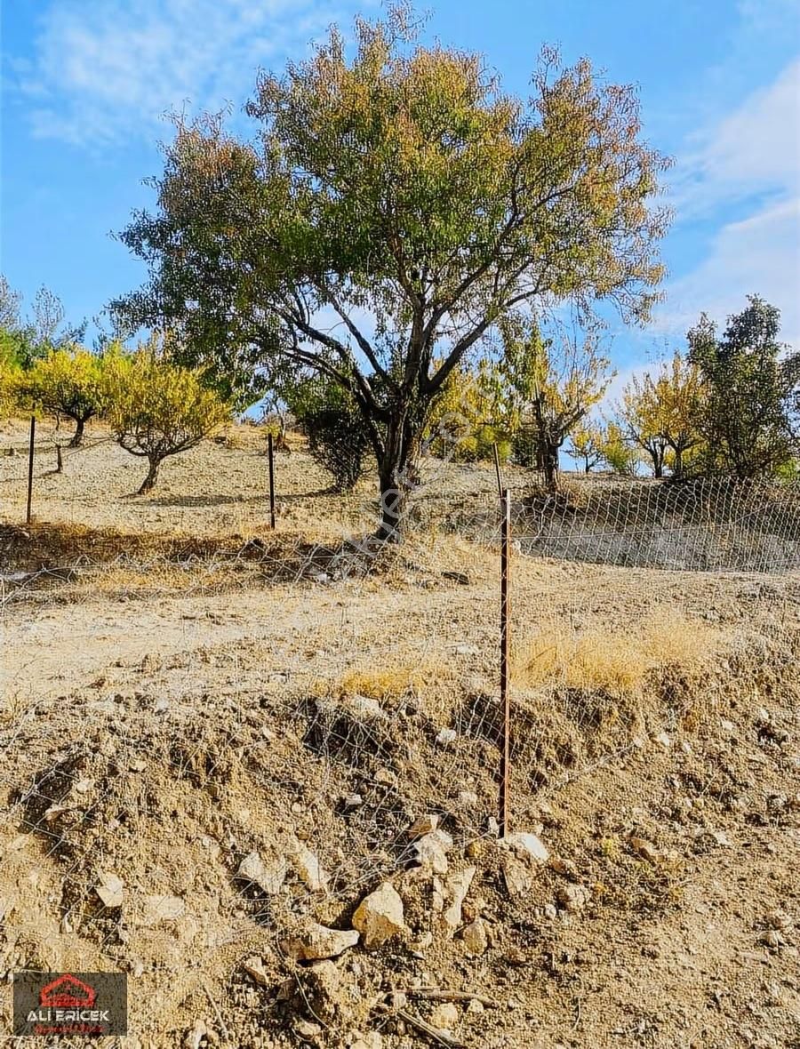 Damlacık Ericek Mevki Kupon Bahçe - Görsel 3