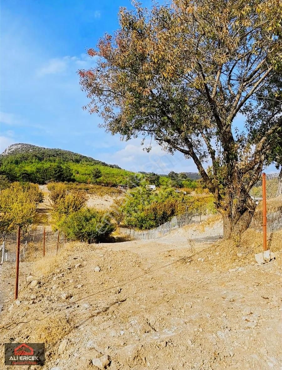 Damlacık Ericek Mevki Kupon Bahçe - Görsel 10