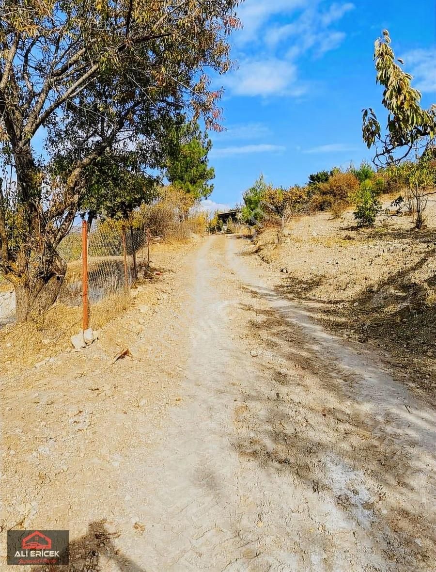 Damlacık Ericek Mevki Kupon Bahçe