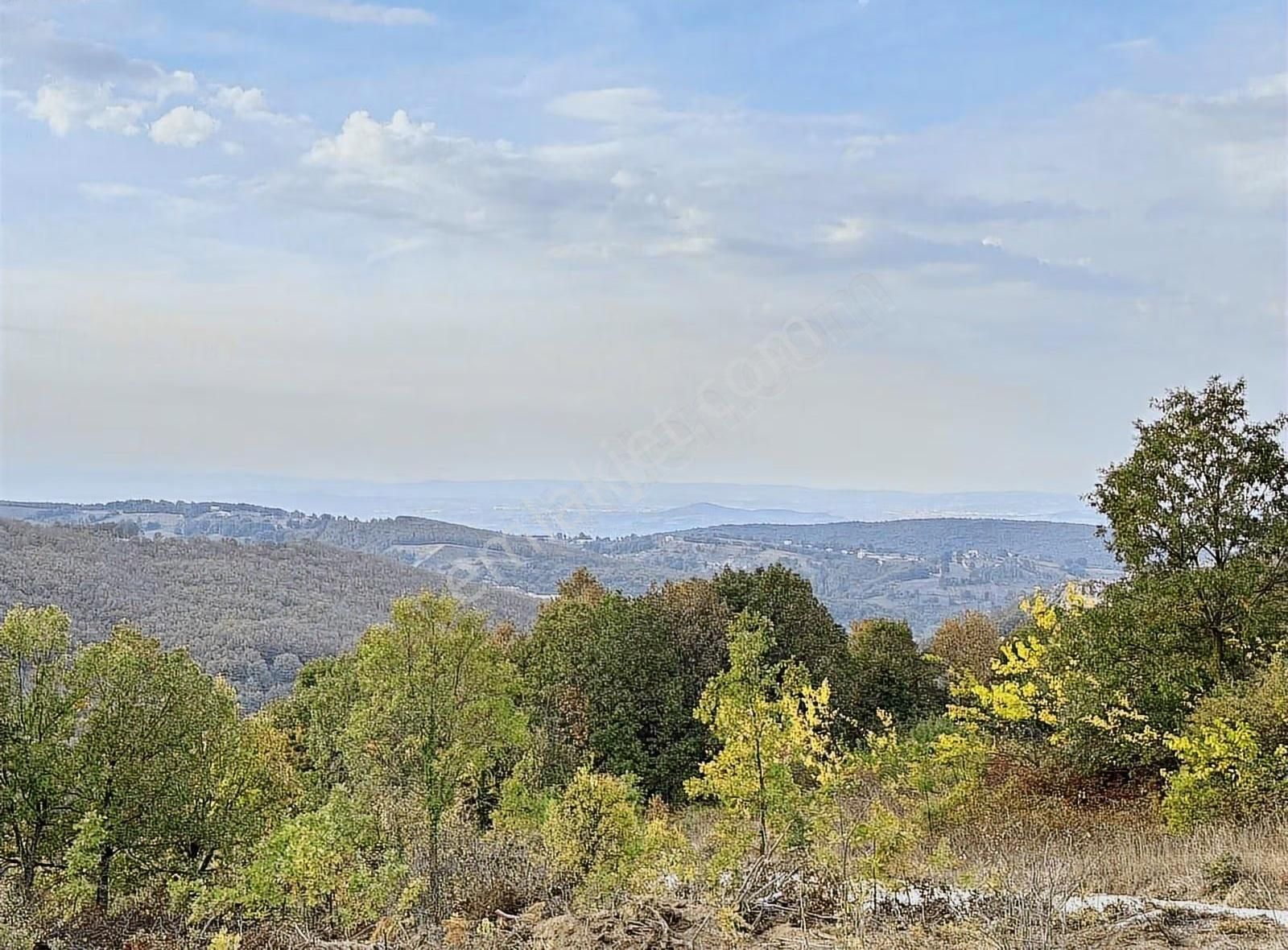 Özdemirden Fırsat Konumda Yolu Mevcut - Görsel 2
