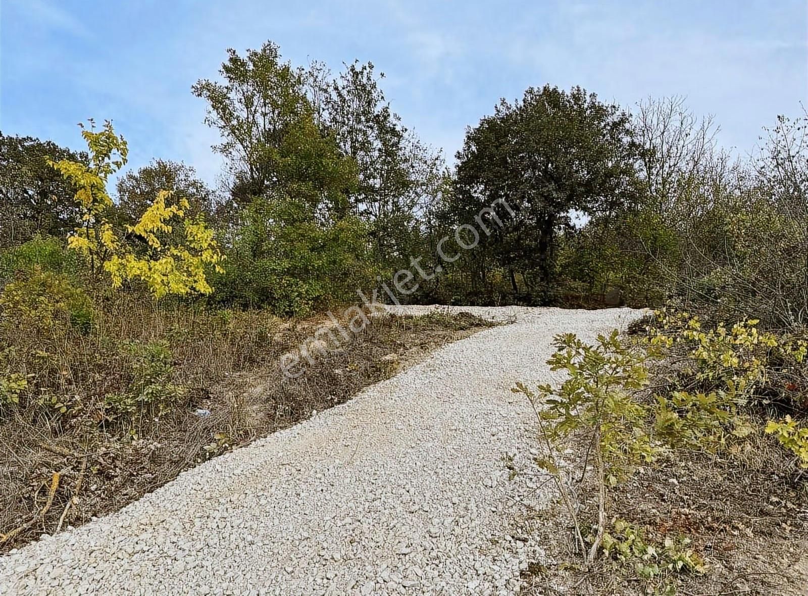 Özdemirden Fırsat Konumda Yolu Mevcut - Görsel 4