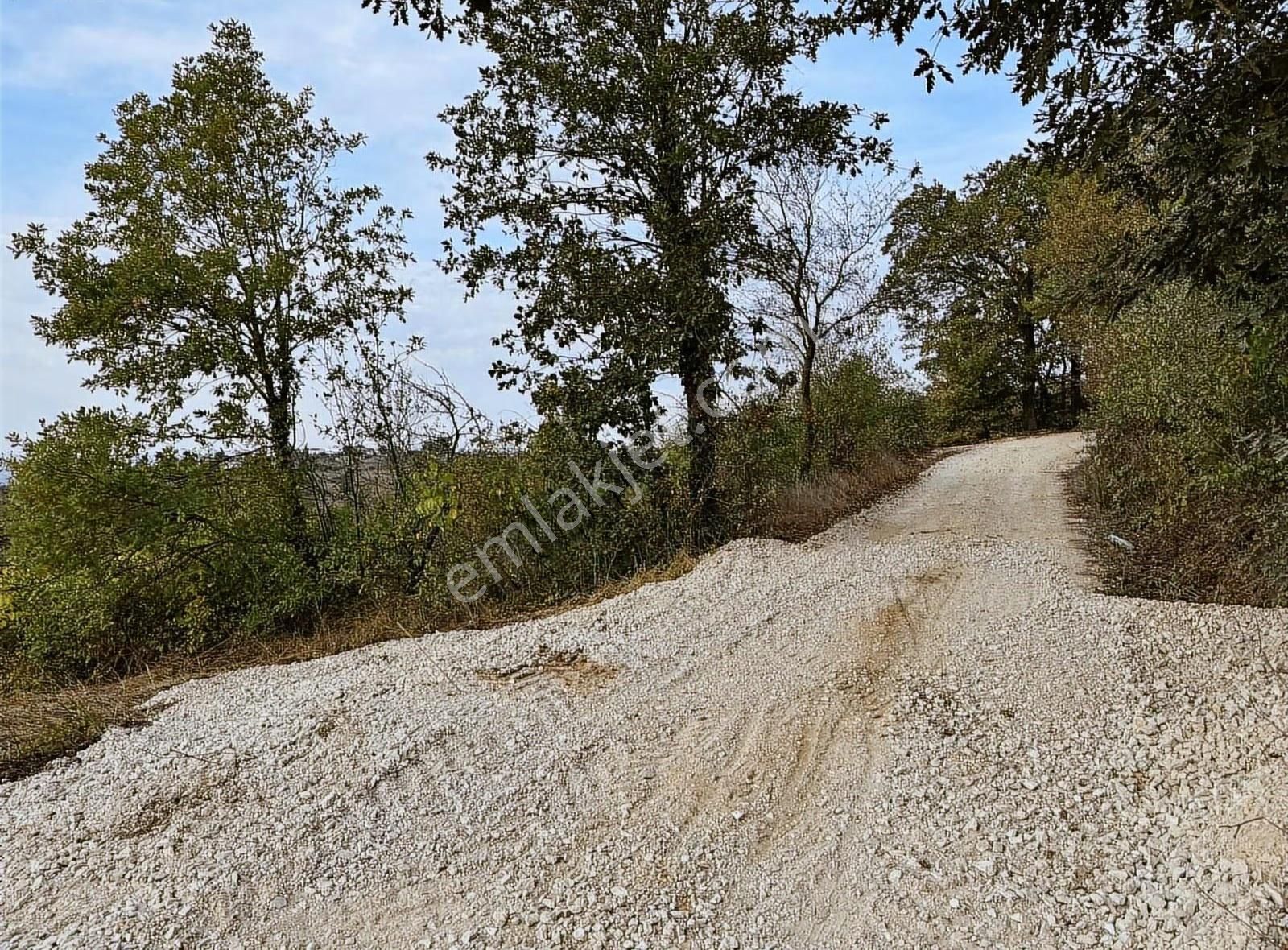 Özdemirden Fırsat Konumda Yolu Mevcut