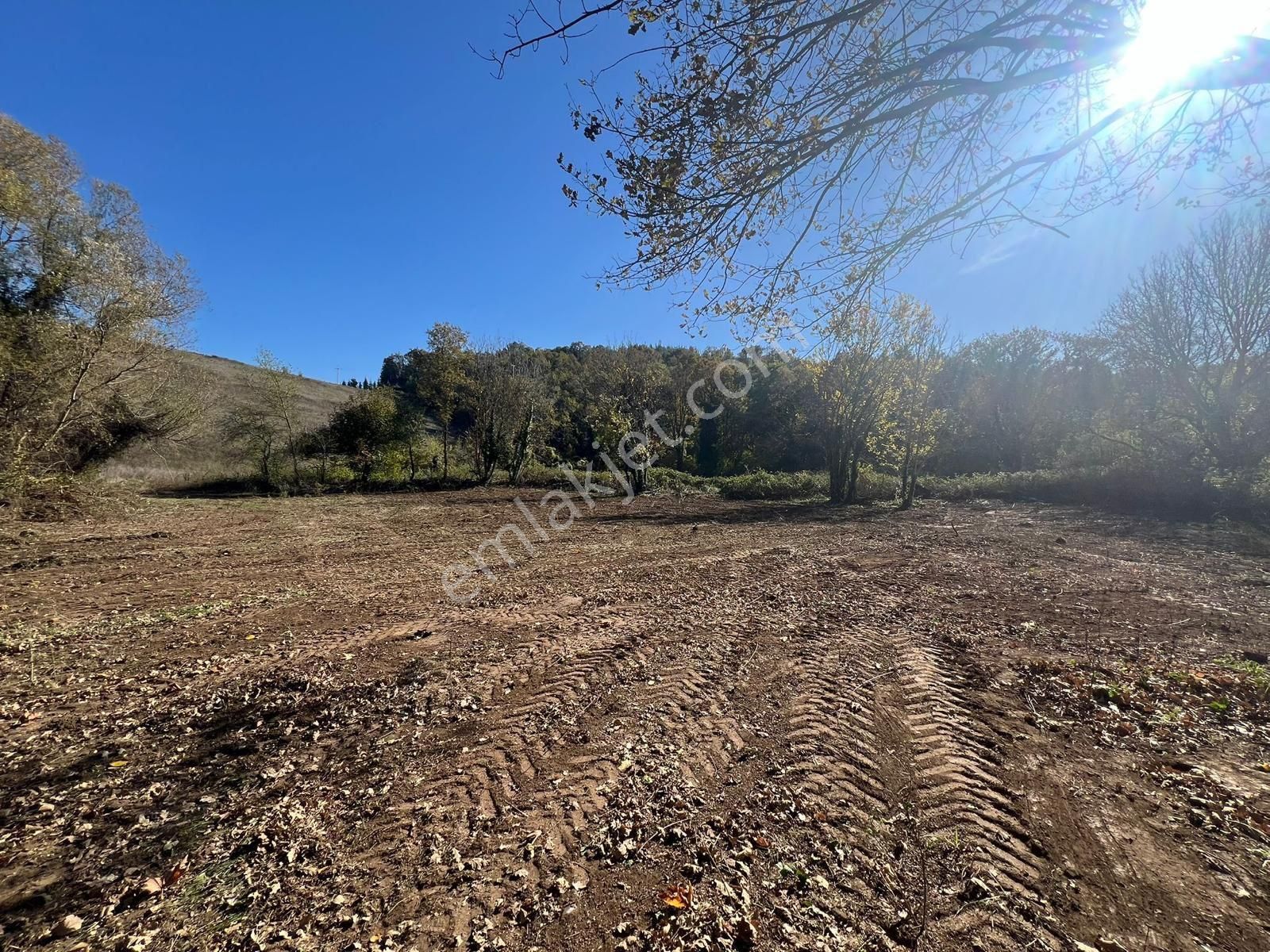 Kocaeli Karamürsel Çamdibi Uygun Fiyatlı 1365 M² Satılık Tarla - Görsel 7