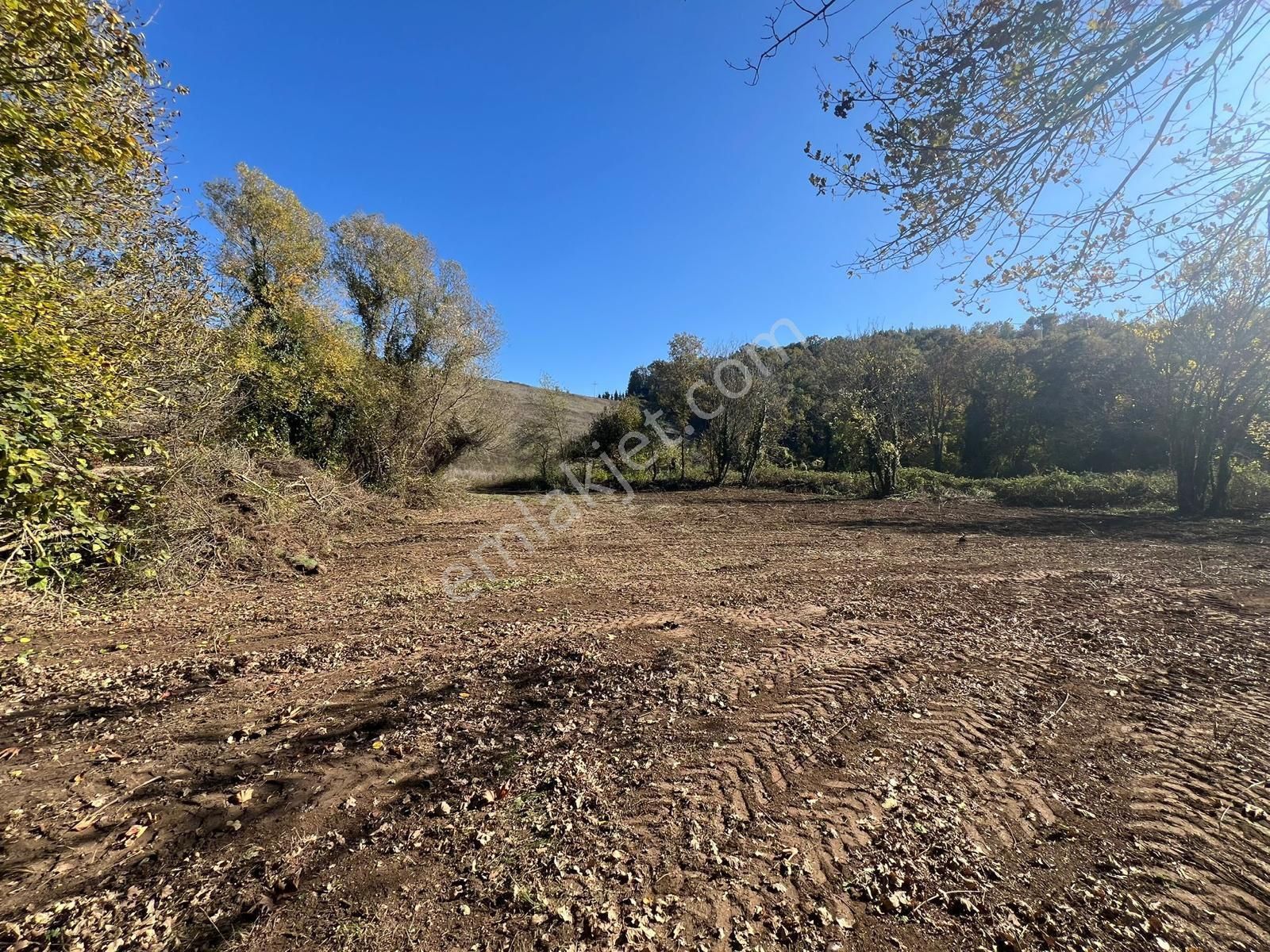 Kocaeli Karamürsel Çamdibi Uygun Fiyatlı 1365 M² Satılık Tarla - Görsel 5