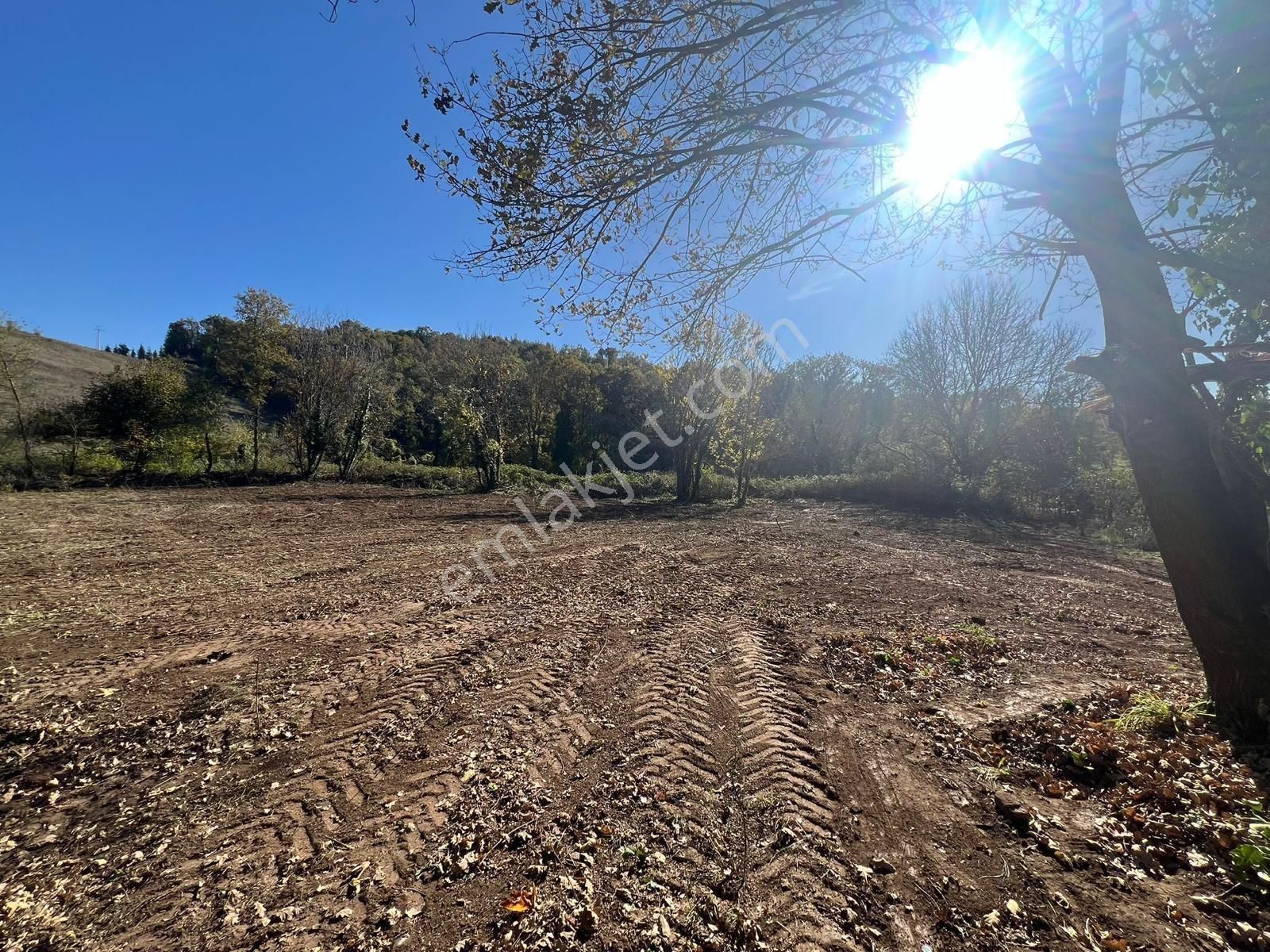 Kocaeli Karamürsel Çamdibi Uygun Fiyatlı 1365 M² Satılık Tarla - Görsel 4